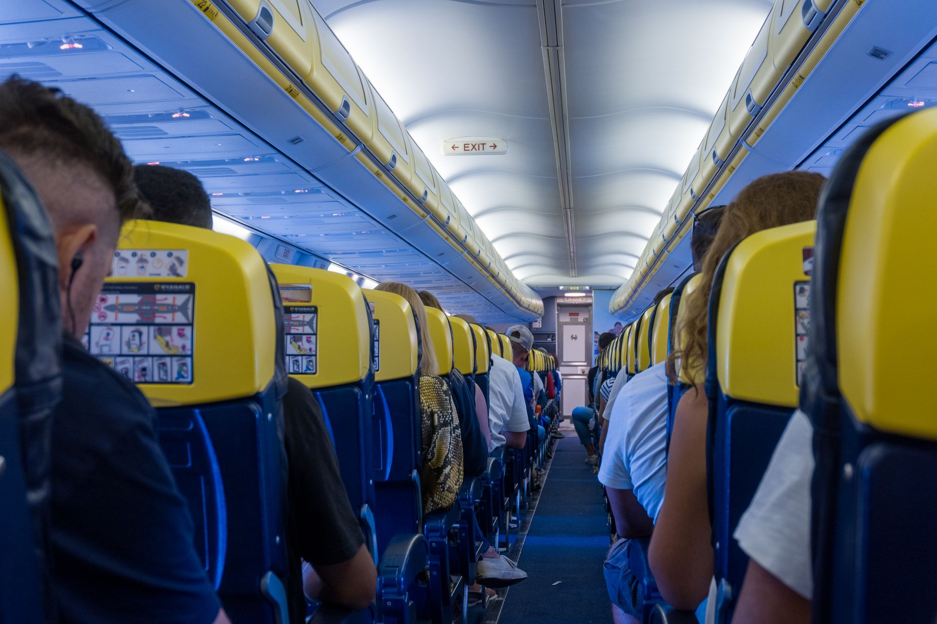 Cat Carrier Flight Rules: Airline Requirements, TSA Screening, and Documents You Need