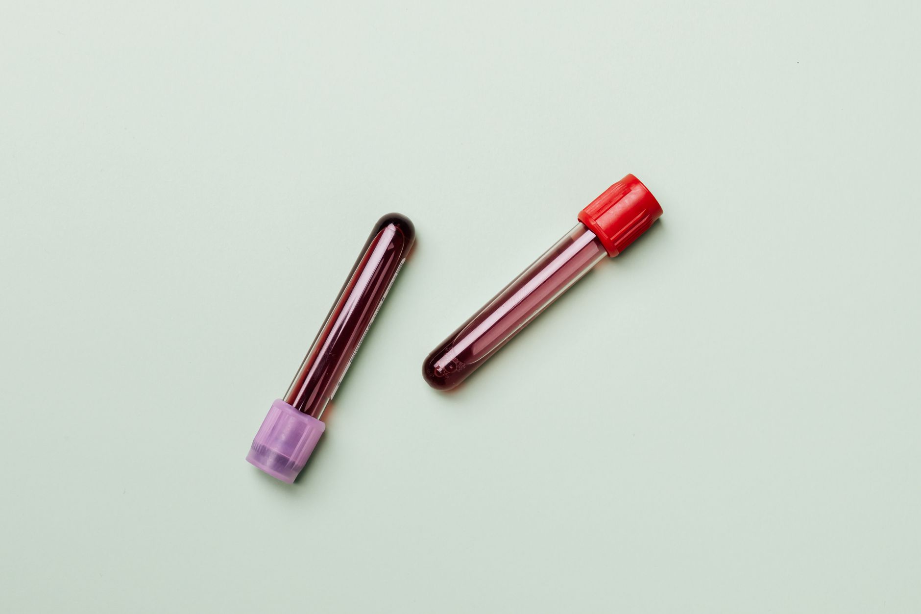 Auburn University Rabies Titer: FAVN Test Guide for Pet Travel