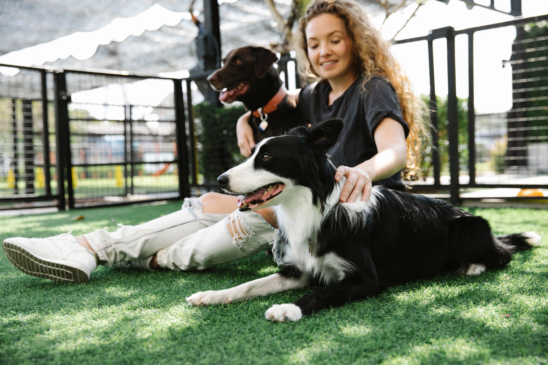 dog boarding with owner airport
