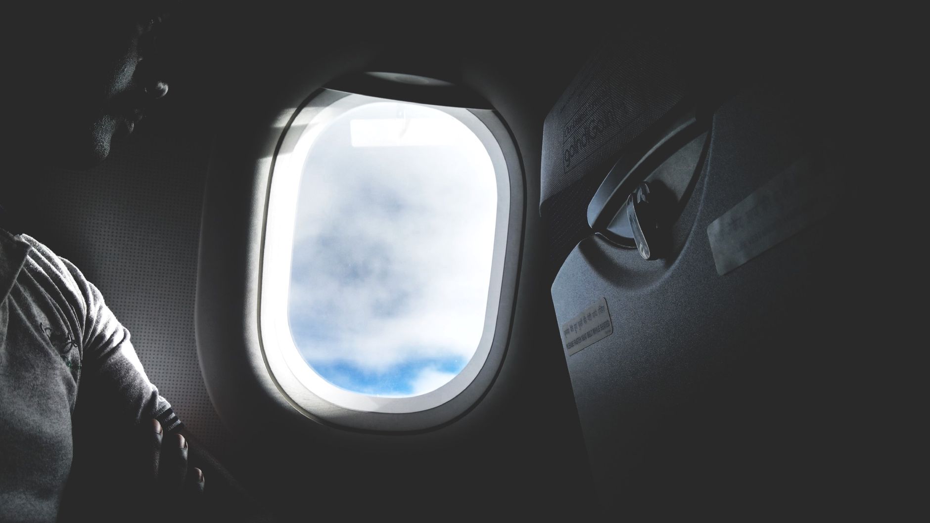 Dogs on Frontier Airlines: 2026 Pet Policy, Fees and Carrier Rules