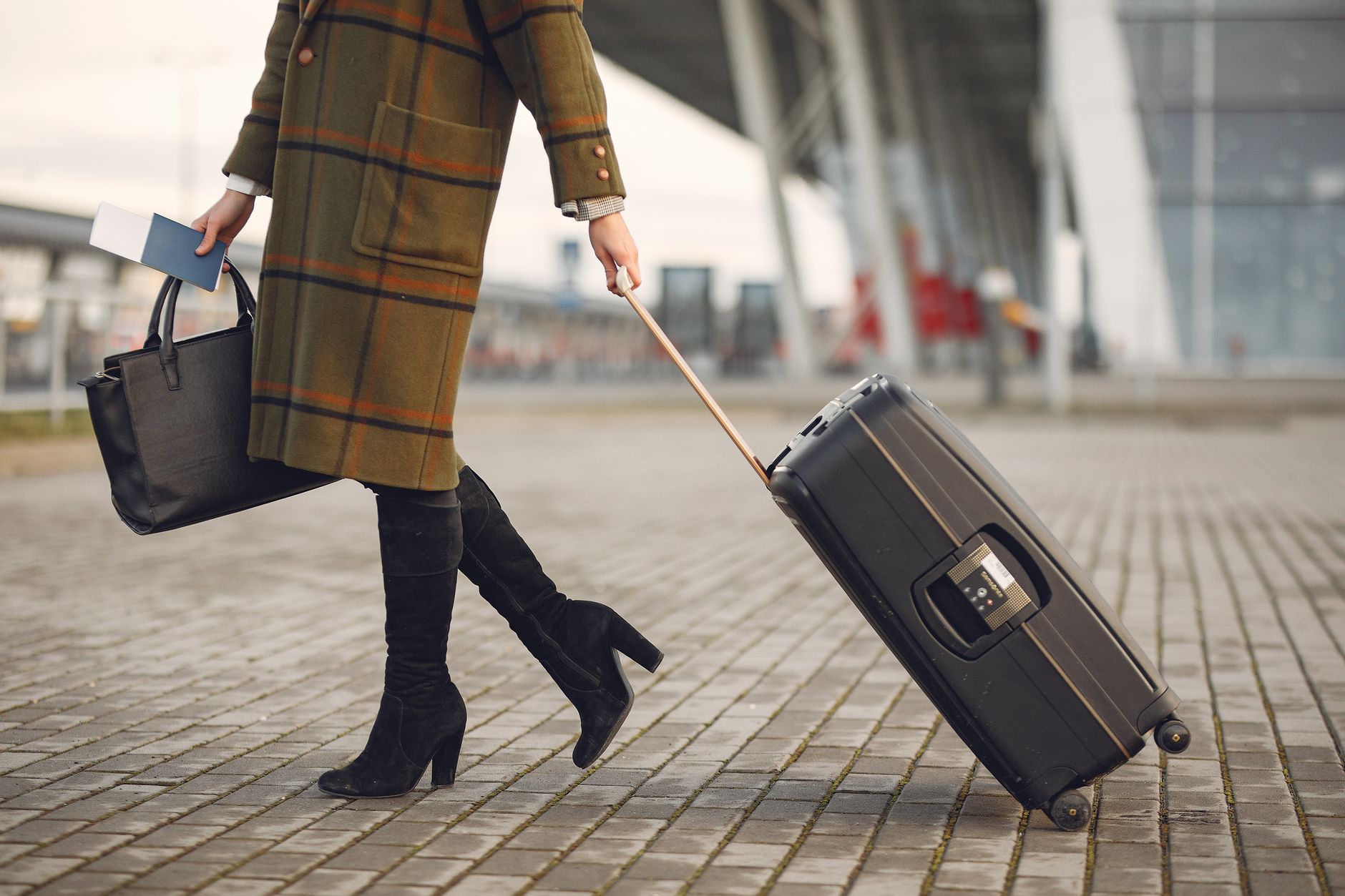 Flying With Your Cat: Airline, IATA and EU Pet Passport Rules Explained