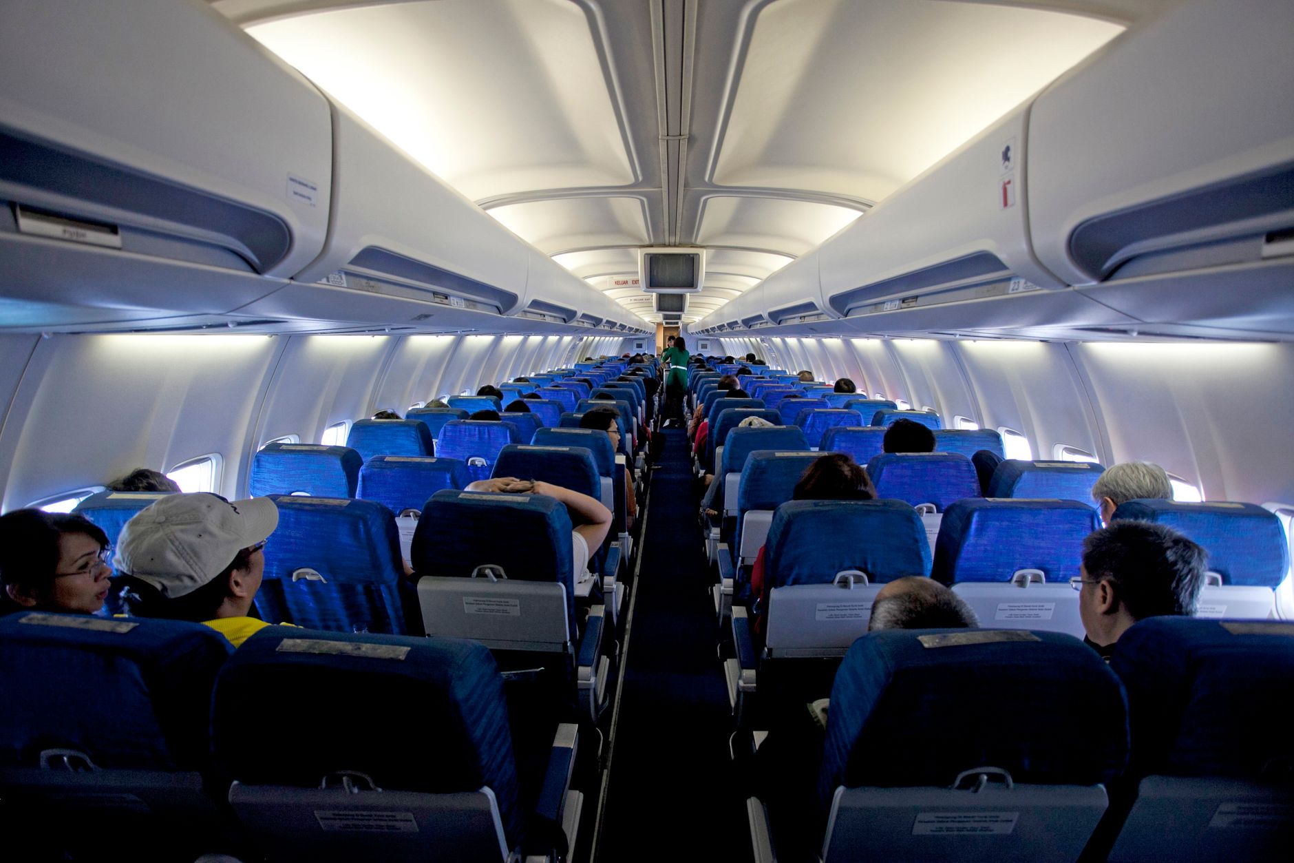 United Airlines Service Animal Policy: Rules, Forms, and Fees Explained