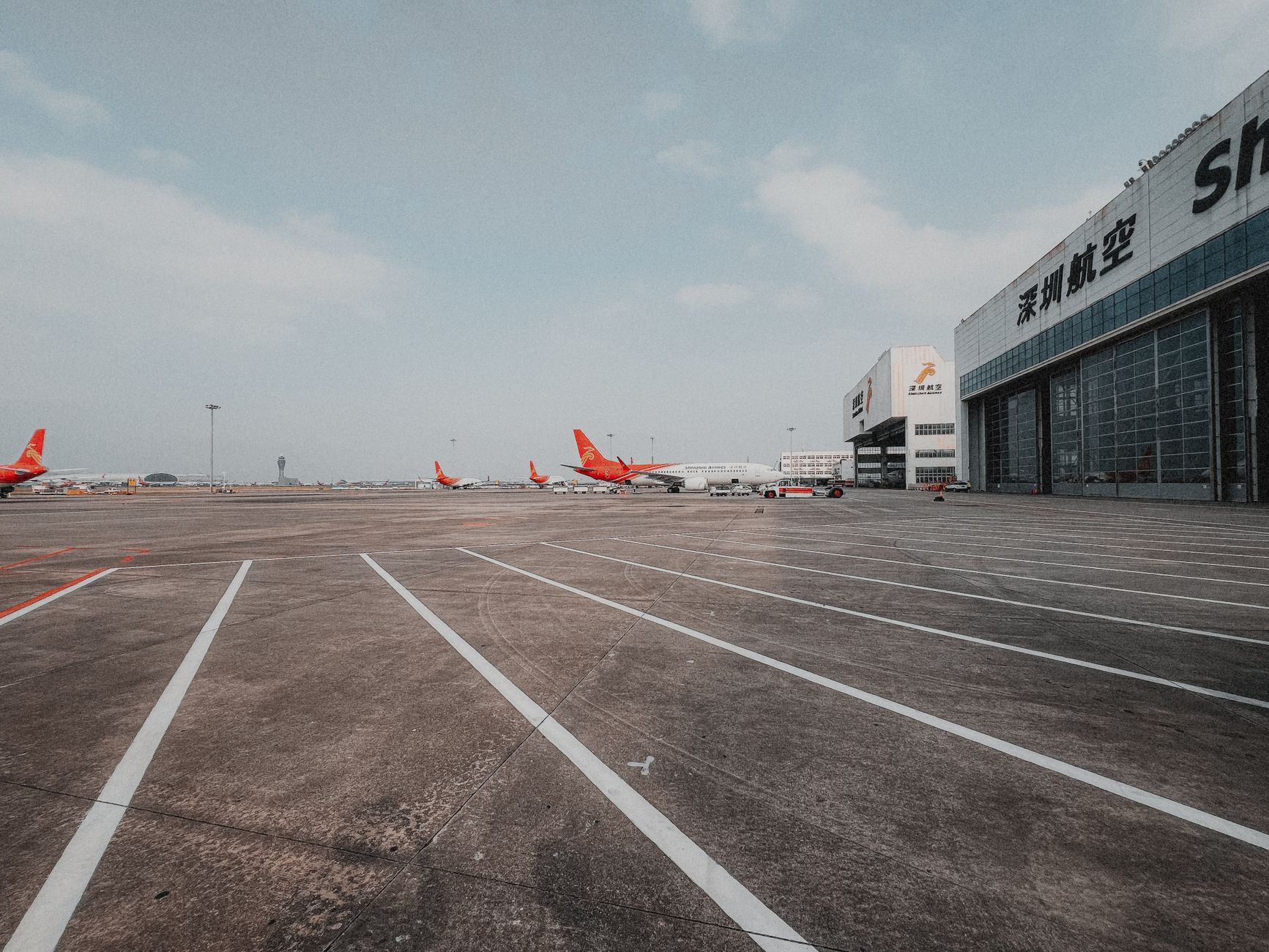 airBaltic Pet Policy (2026): Cabin, Hold, Fees and Documents Explained