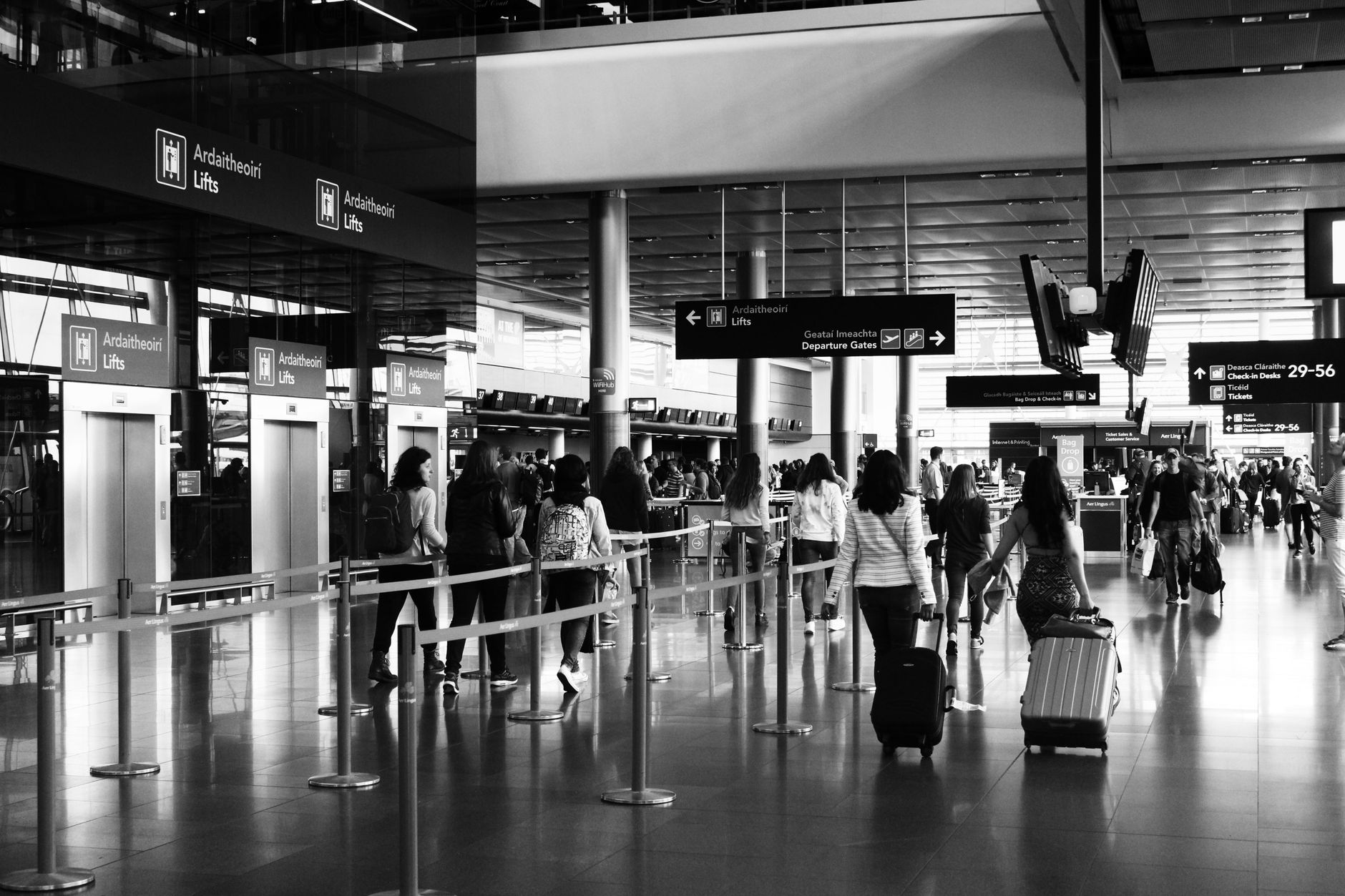 cat carrier airport check in