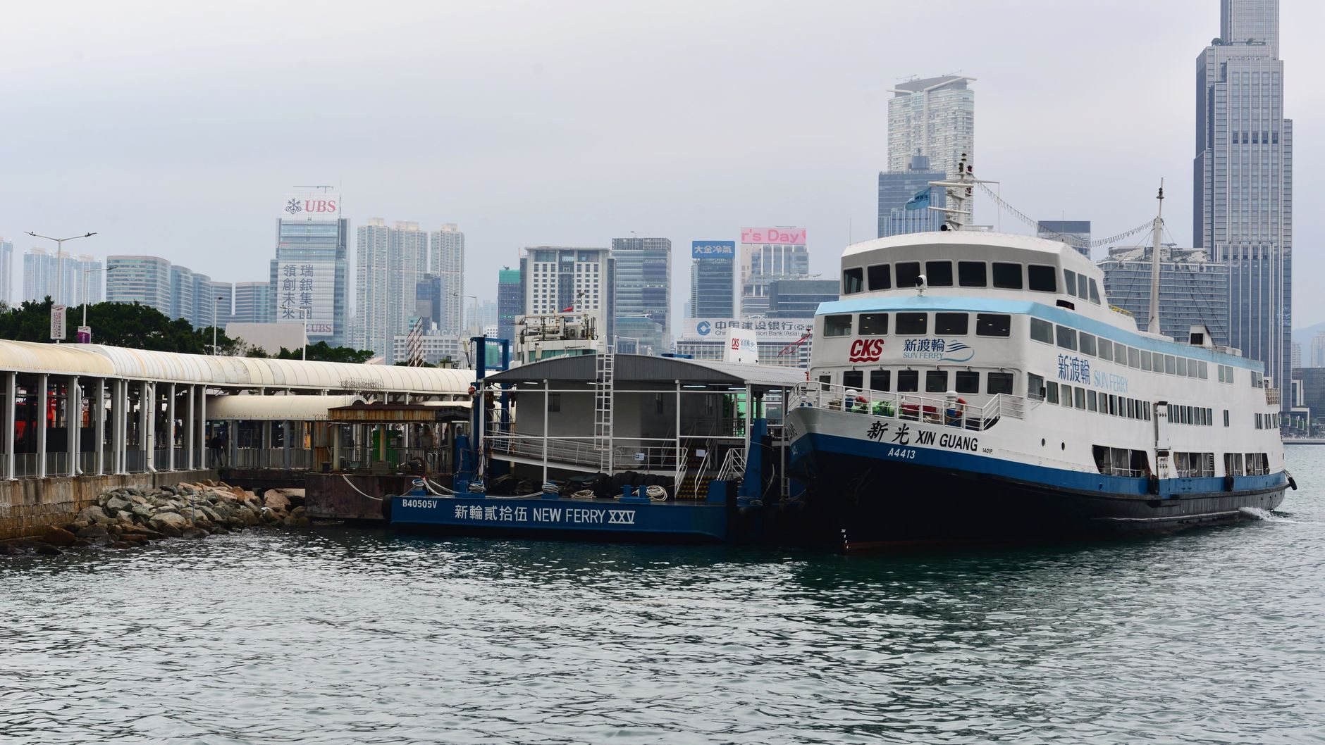 dog with owner boarding car ferry at harbour terminal