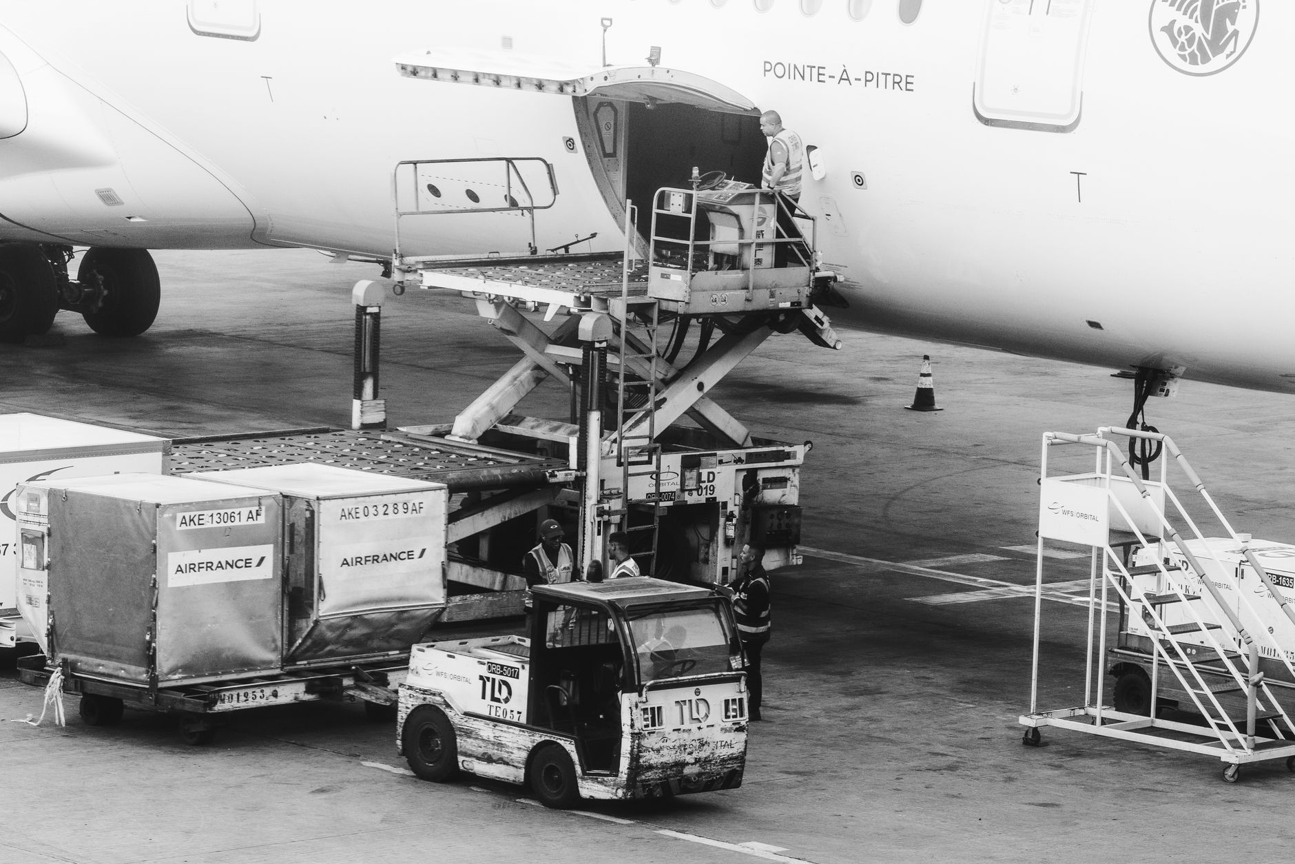 airline cargo employee loading pet carrier crate onto plane