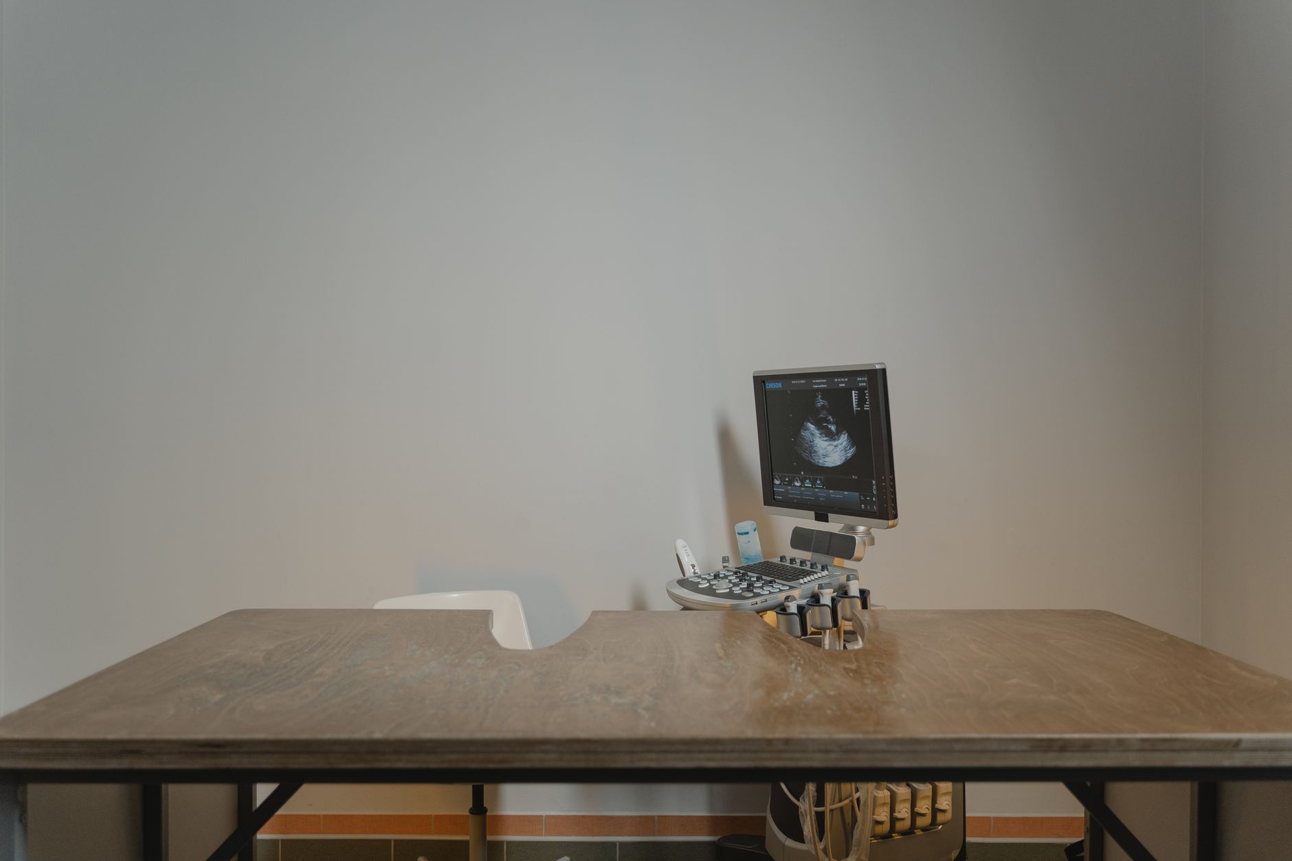 veterinarian scanning dog microchip clinic desk