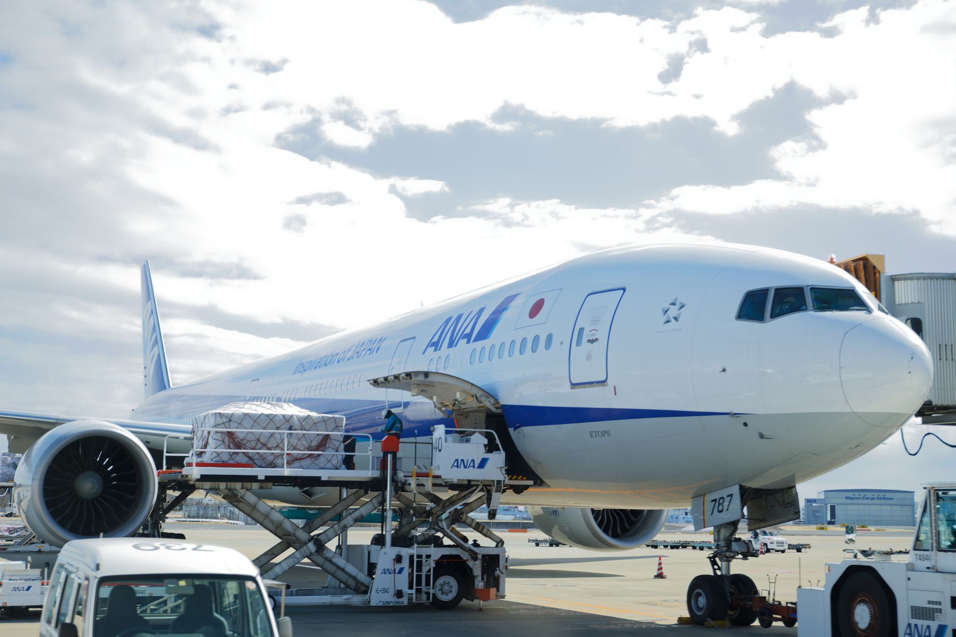 dog crate loaded into cargo hold at international airport