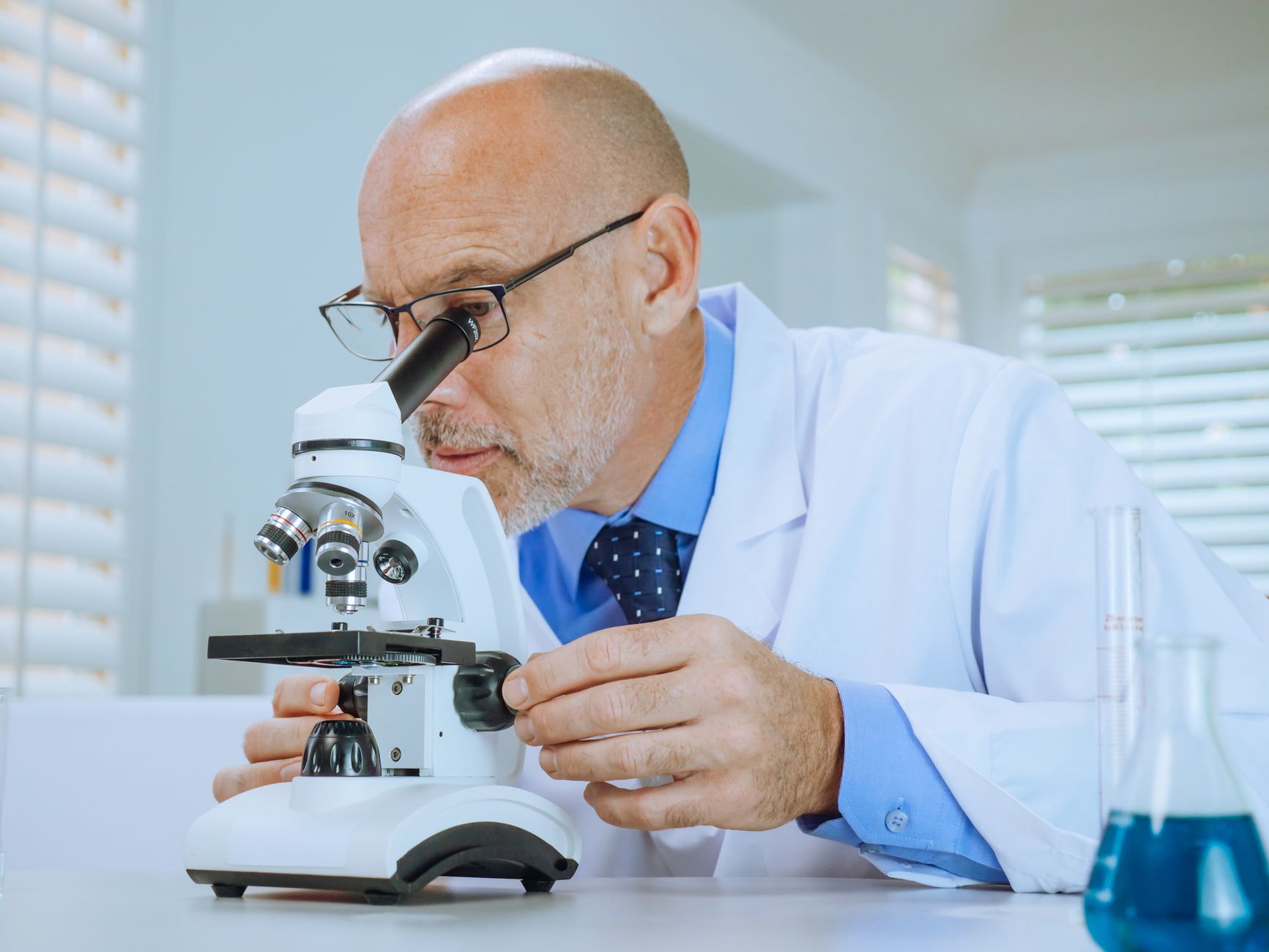 veterinarian examining dog brain tissue sample laboratory microscope