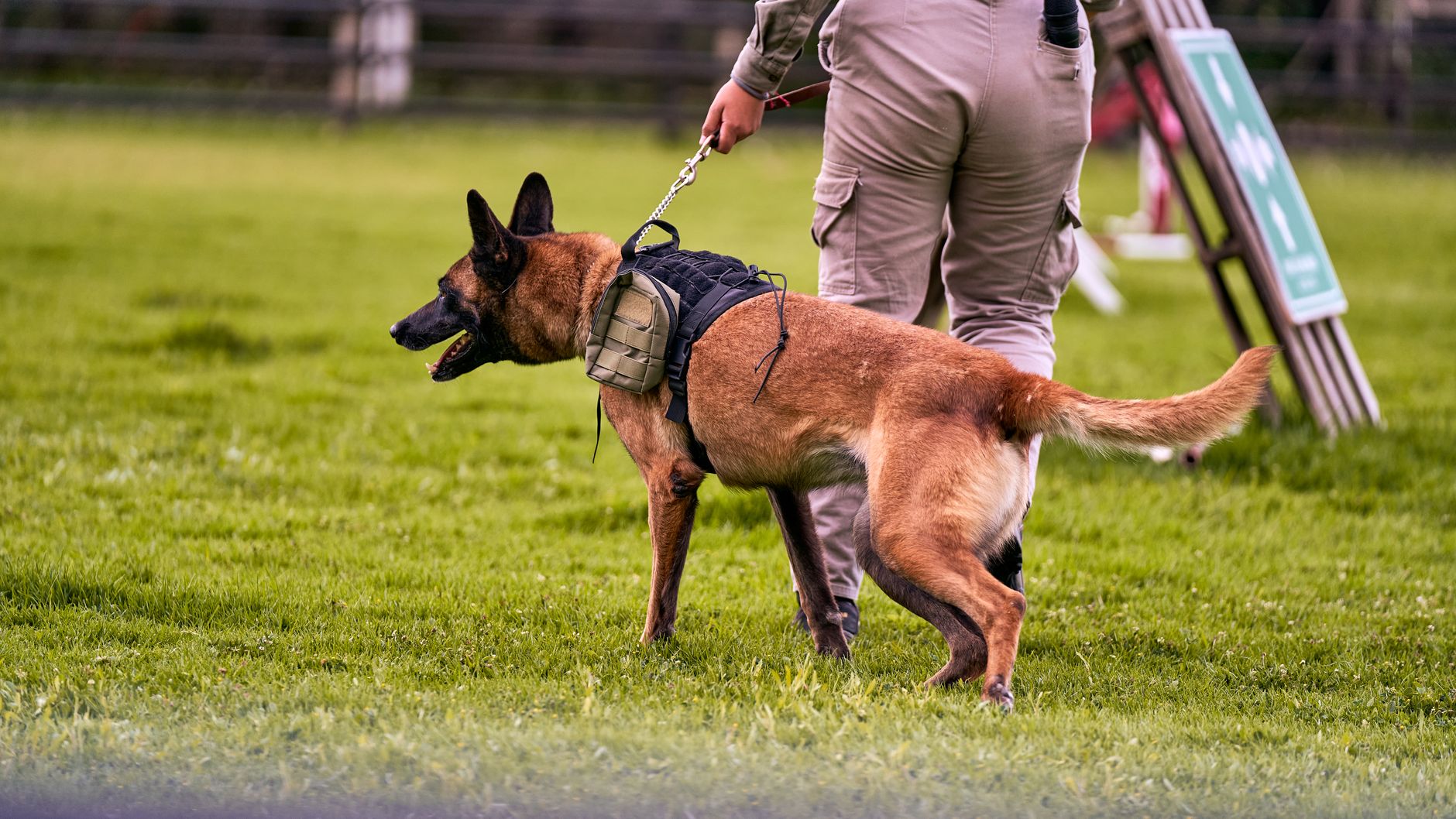 airport security screening passenger holding leashed dog