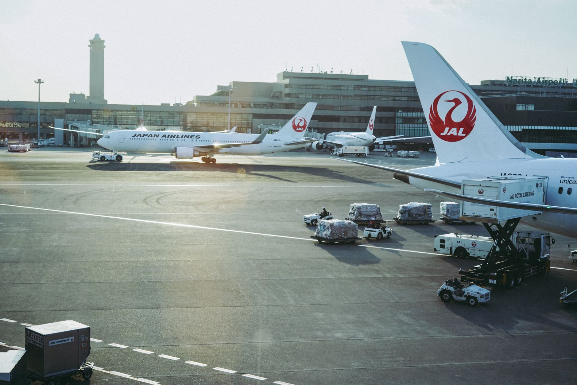 Animal Quarantine Japan: AQS Rules for Pets and Livestock