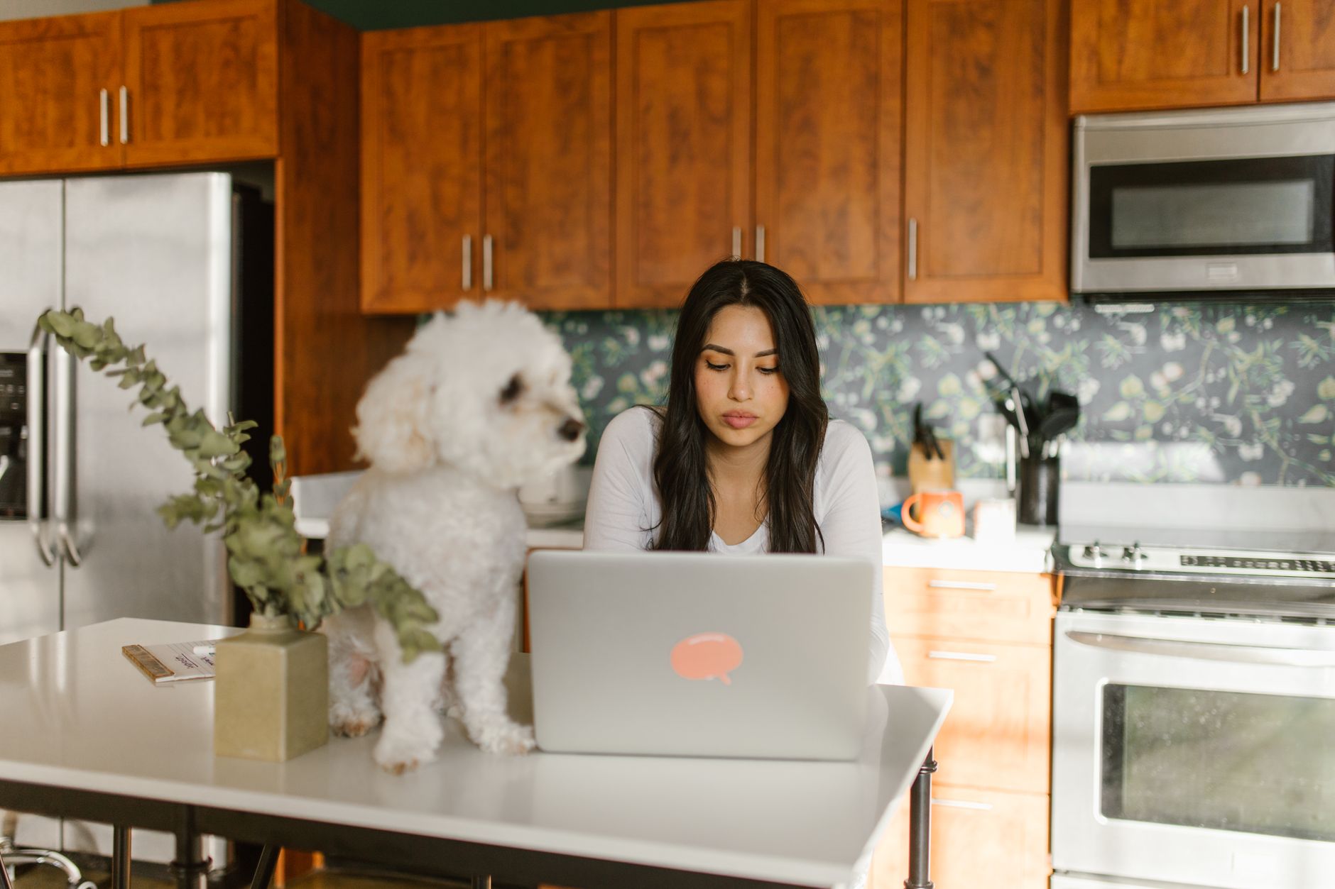 person filling out government travel form on laptop with small dog beside desk