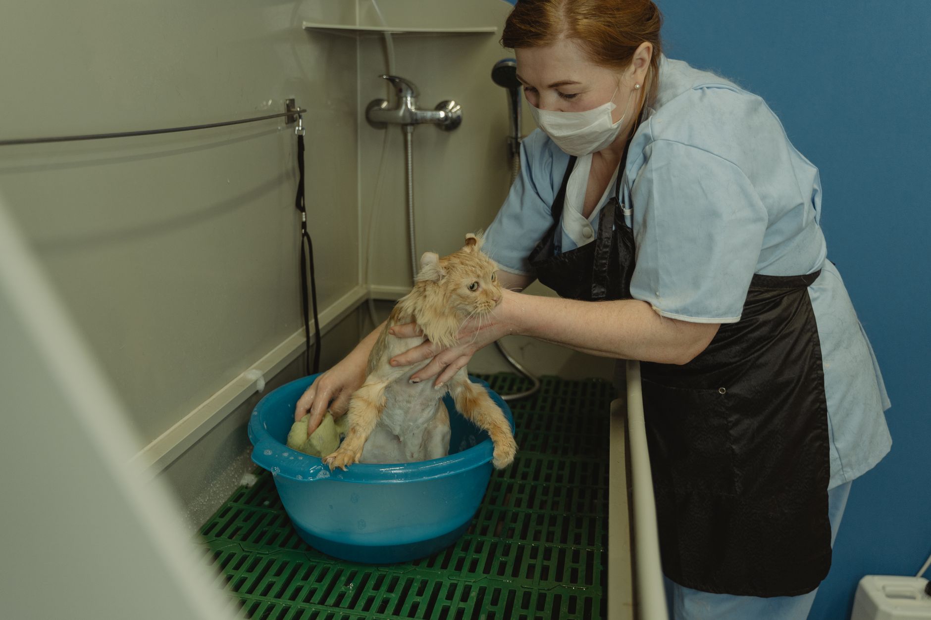 orange cat hard plastic carrier veterinary clinic lobby floor