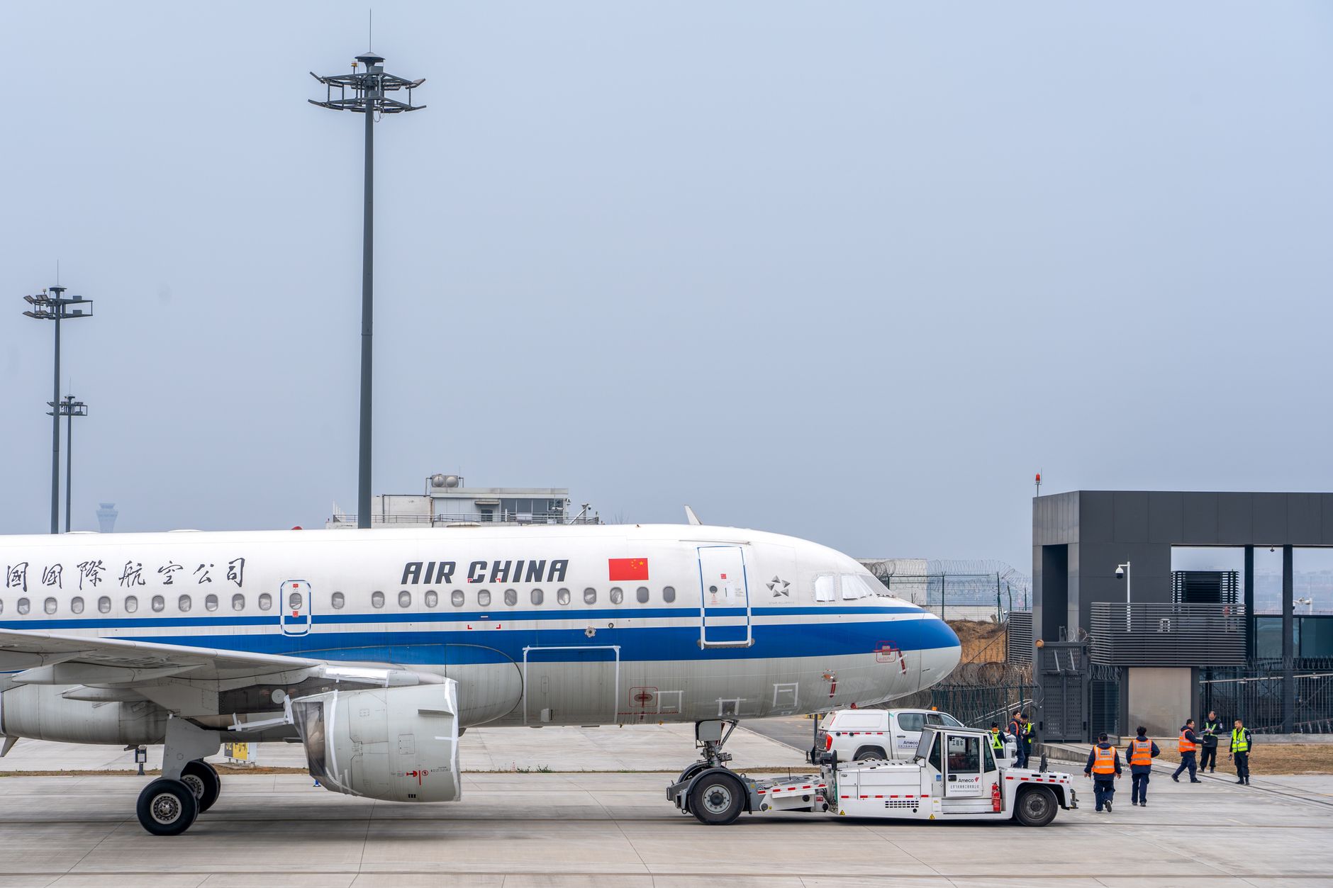 How to Ship a Pet: Airline Cargo, Documents, Costs & Rules (2026)