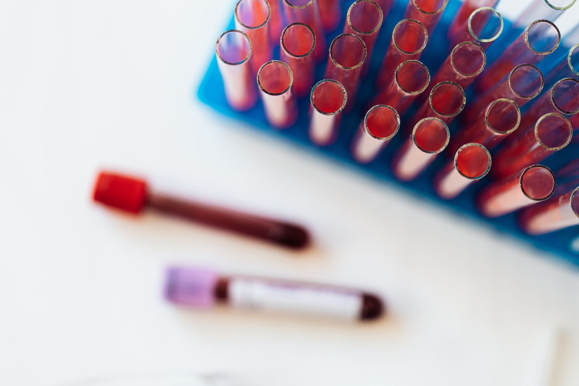 veterinarian collecting dog blood sample clinic for rabies titer