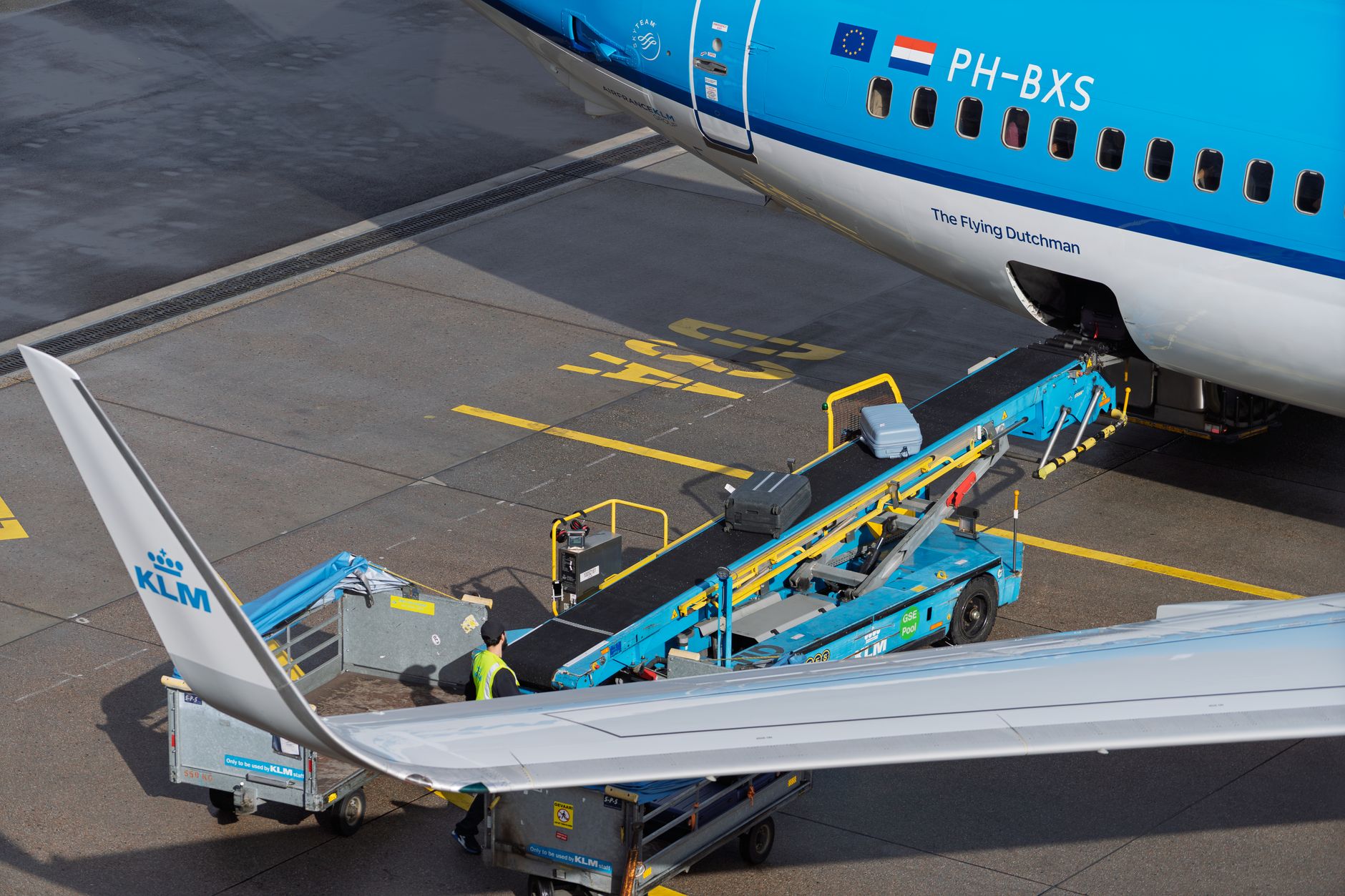 cat carrier on airport security x-ray conveyor belt