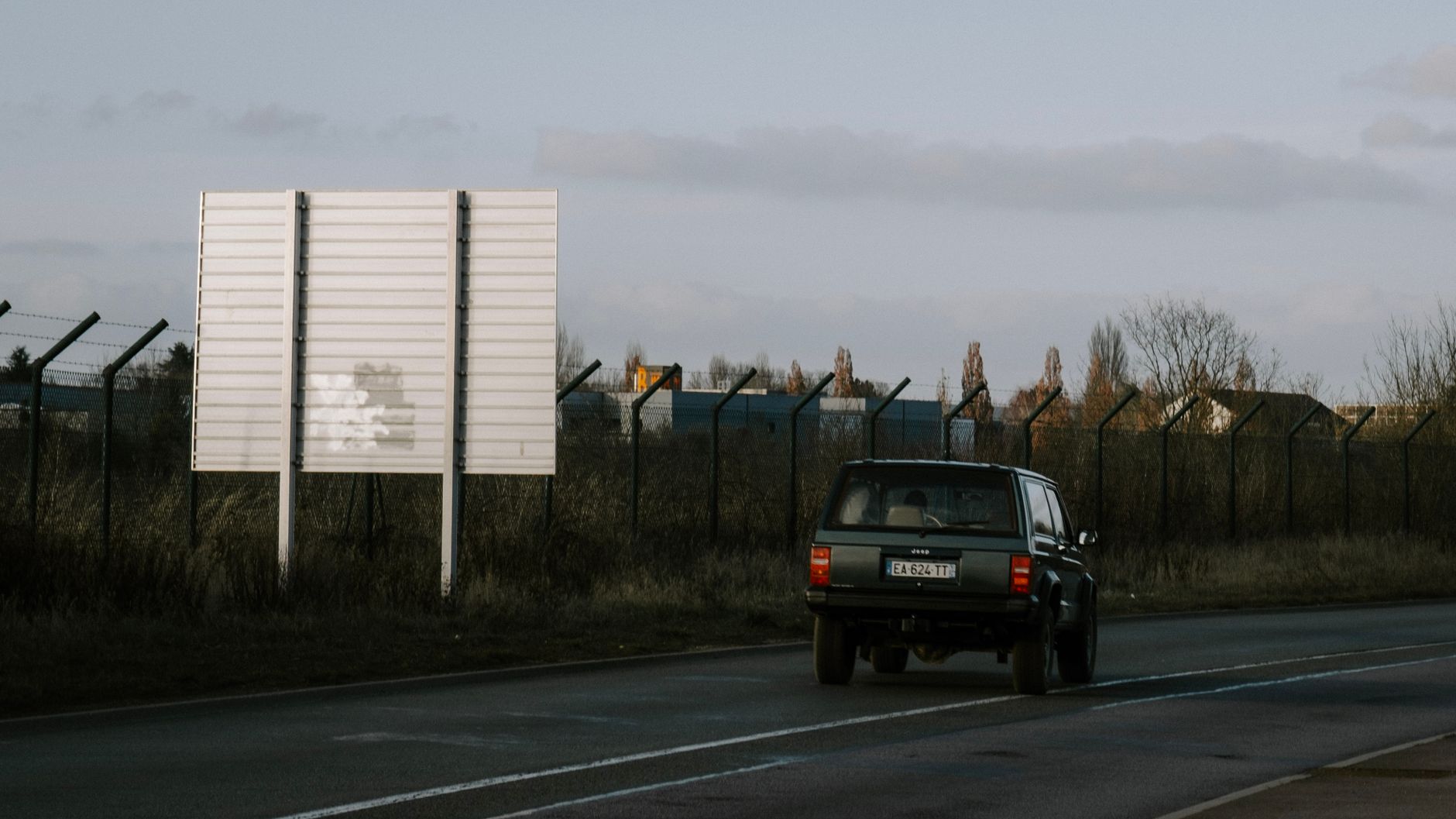 dog in car back seat approaching highway border crossing sign