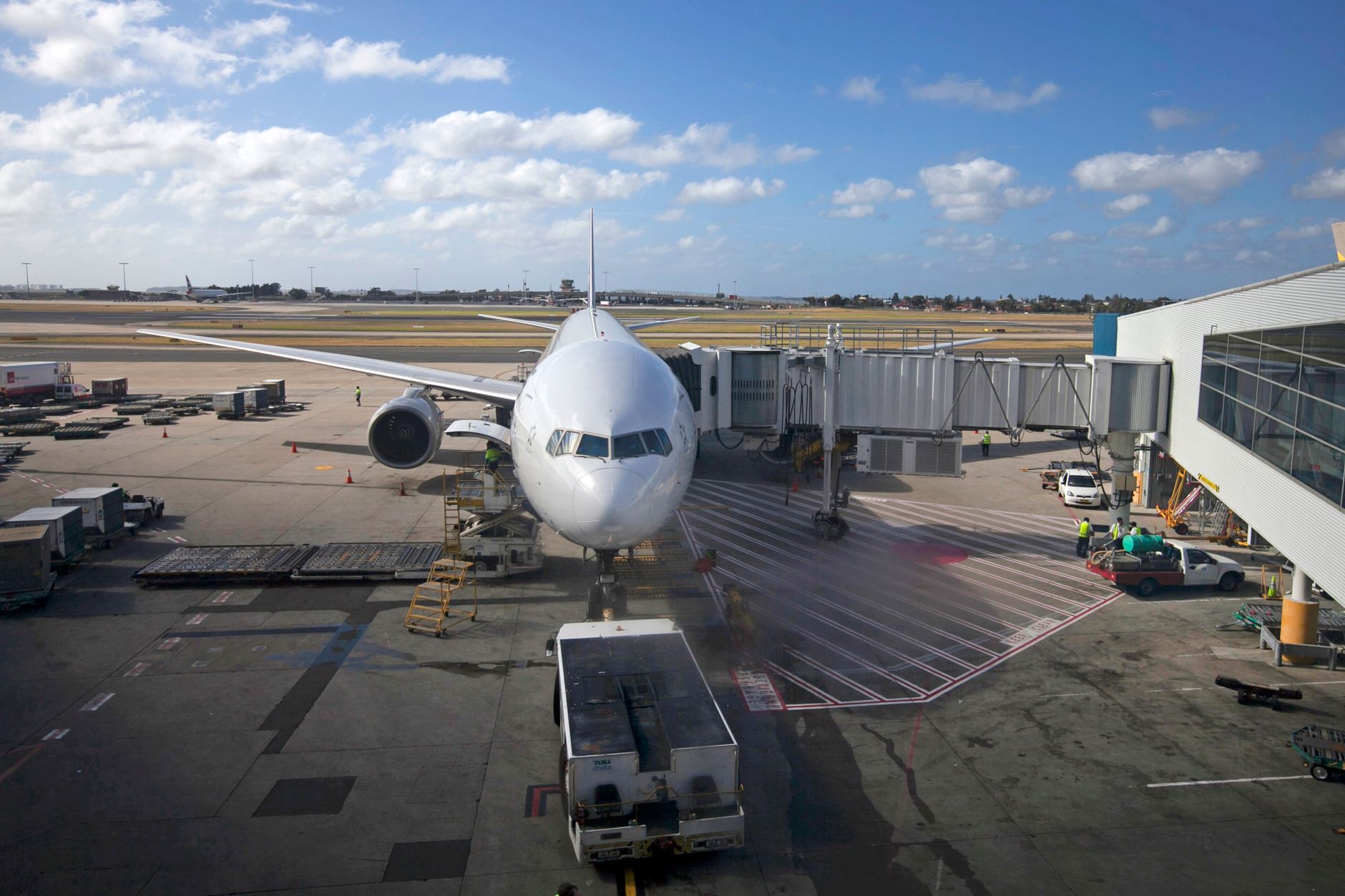 British Airways Pet Cargo: How BA Flies Dogs and Cats in the Hold (2026 Guide)