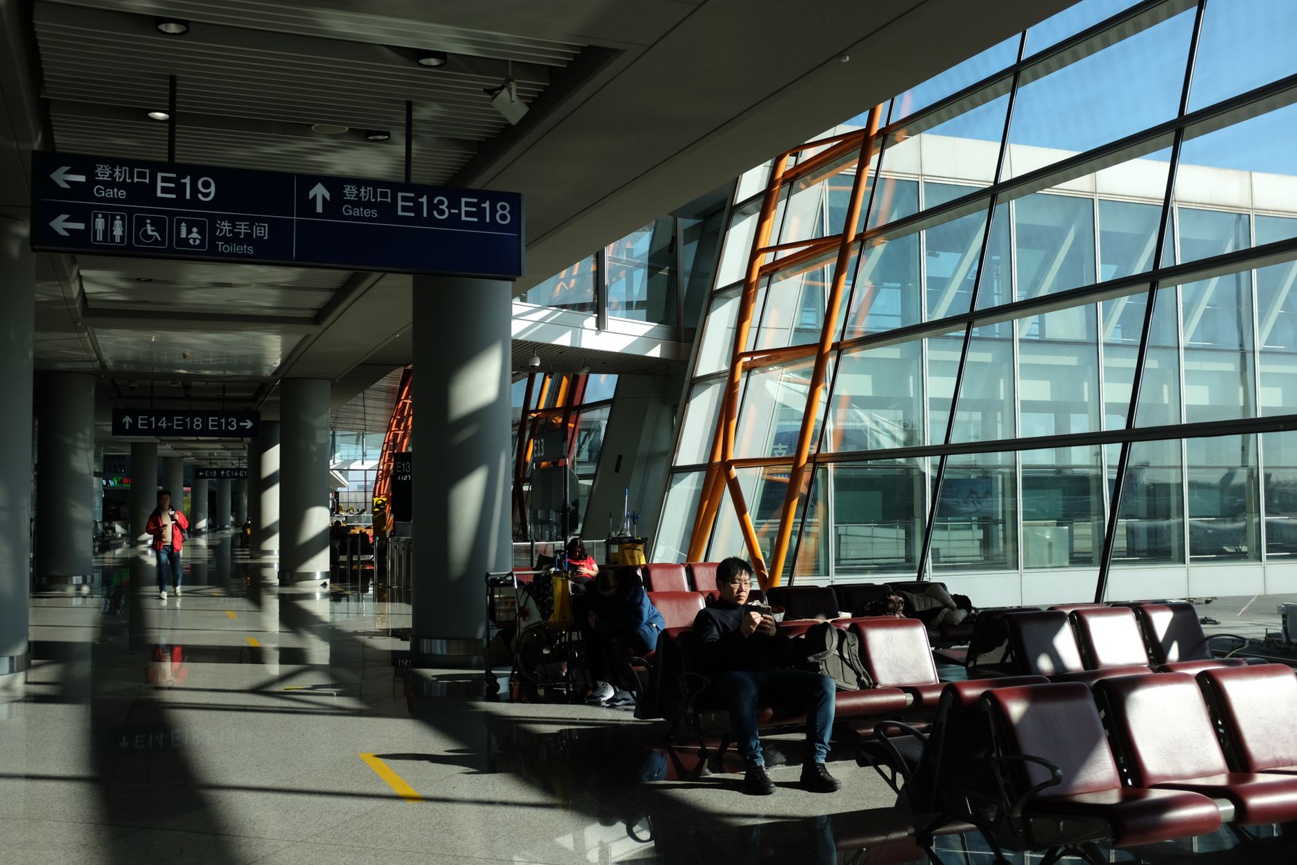 Soft Cat Carrier Airline Approved: Sizes, IATA Rules, Fees