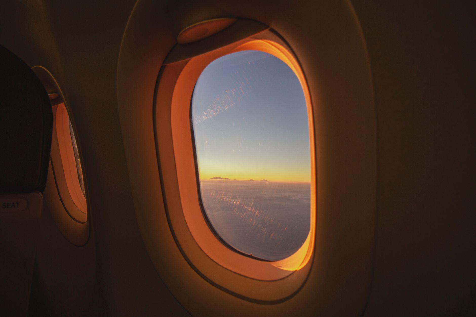 How Much Does It Cost to Fly a Cat? A 2026 Price Breakdown