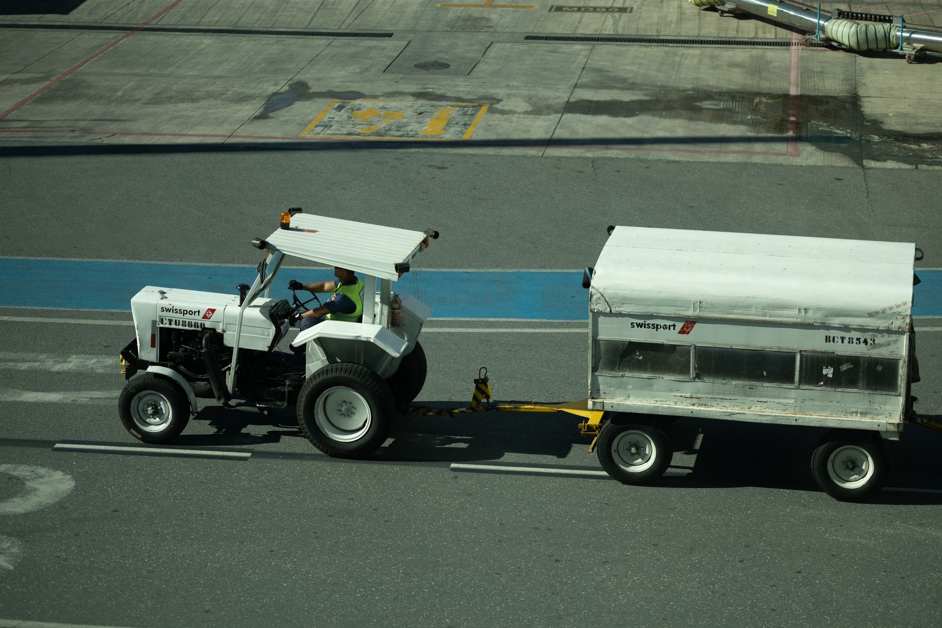 golden retriever crate on cargo cart at airport tarmac