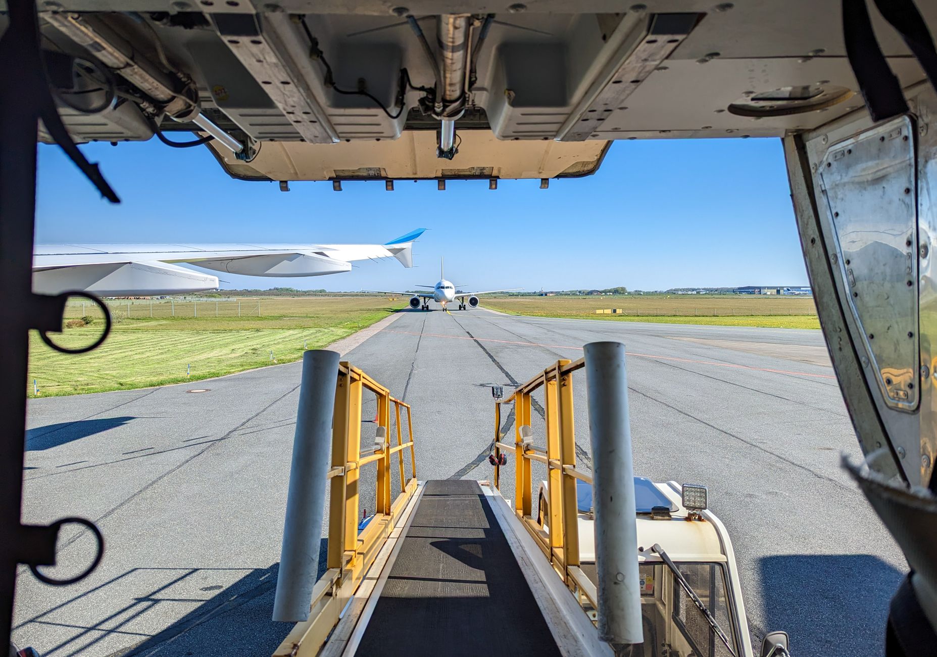 American Airlines International Pet Policy: 2026 Rules, Fees and Documents