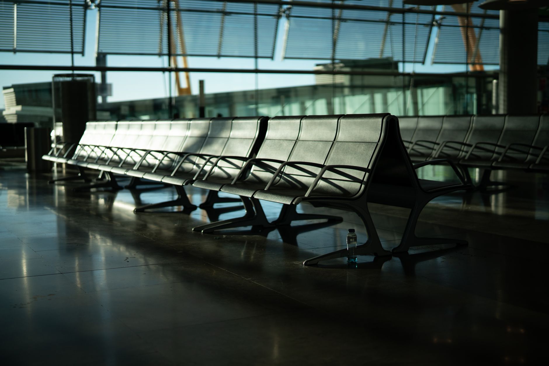 service dog harness beside airport gate chairs