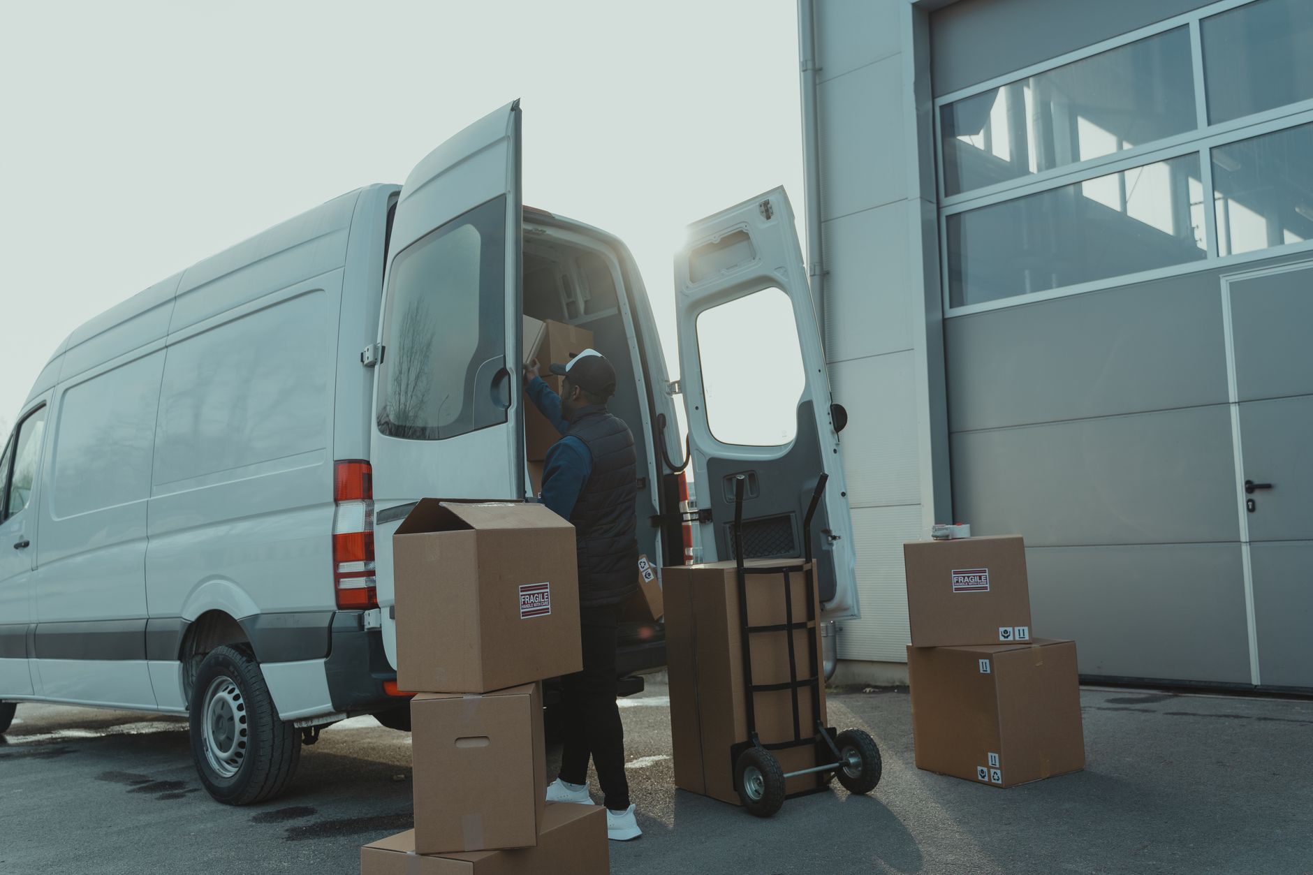 pet transport van driver loading cat carrier for ground shipping