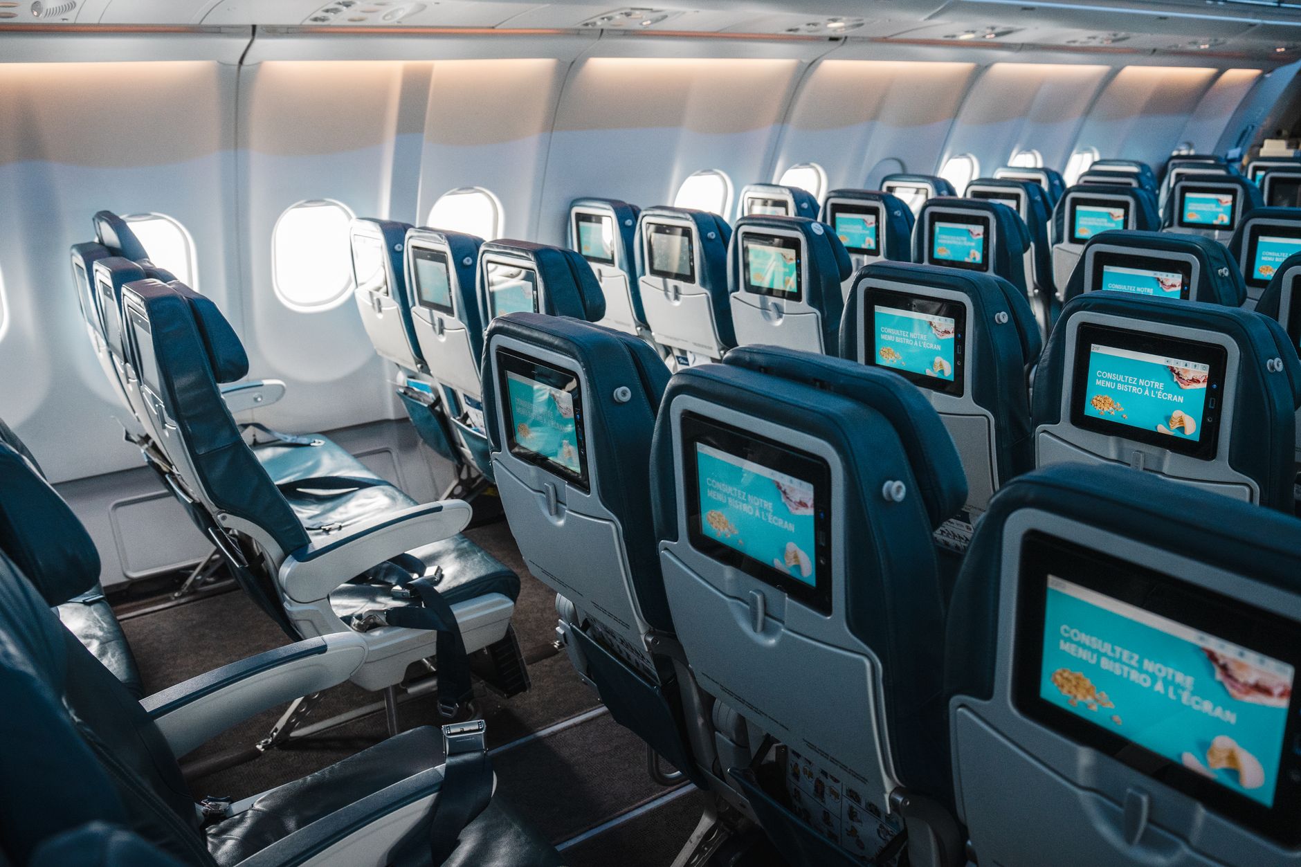 JetBlue Airlines Service Animals: DOT Forms, Seating & Rules (2026)