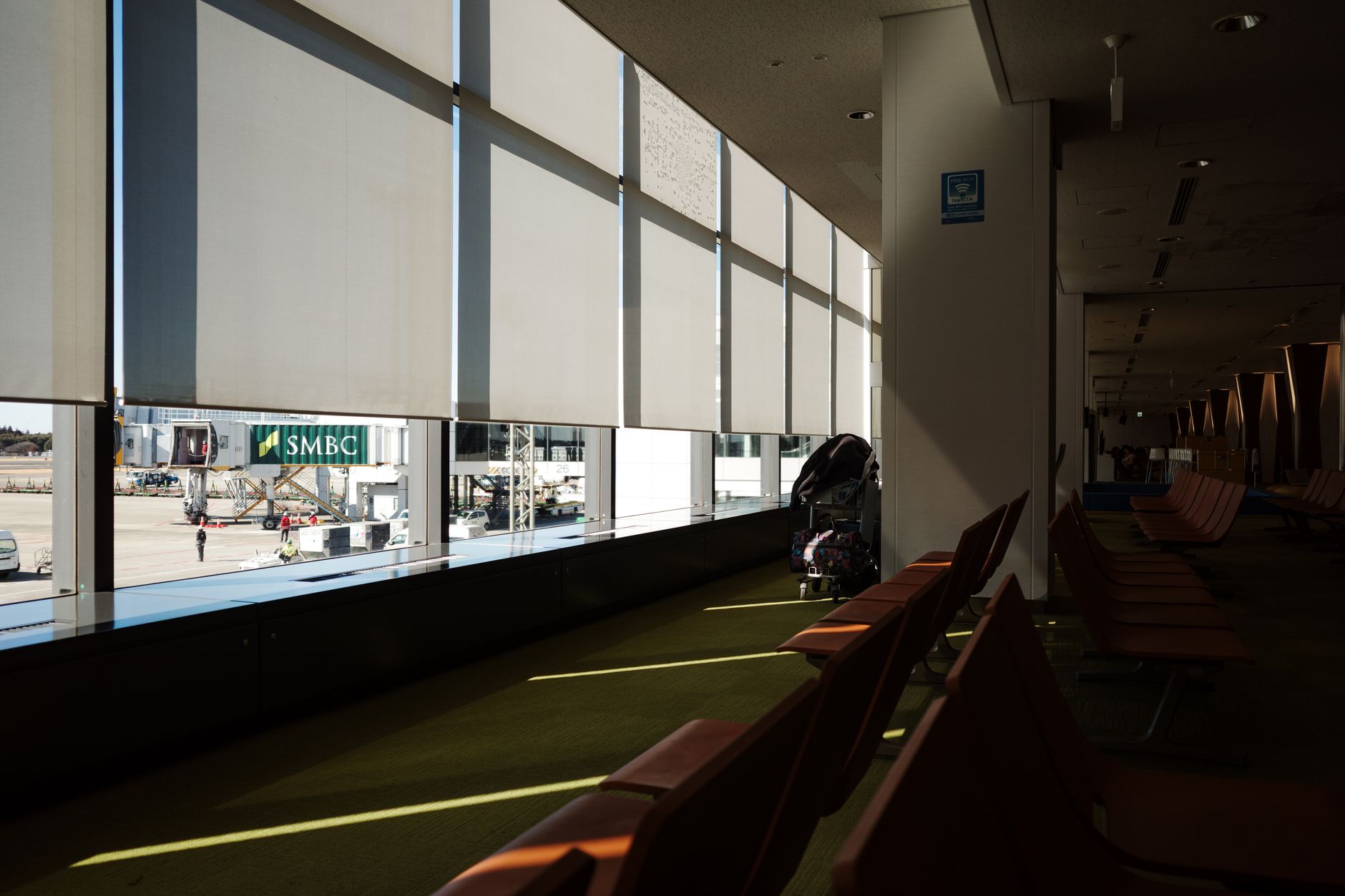 leashed dog and handler waiting beside an airport departure gate