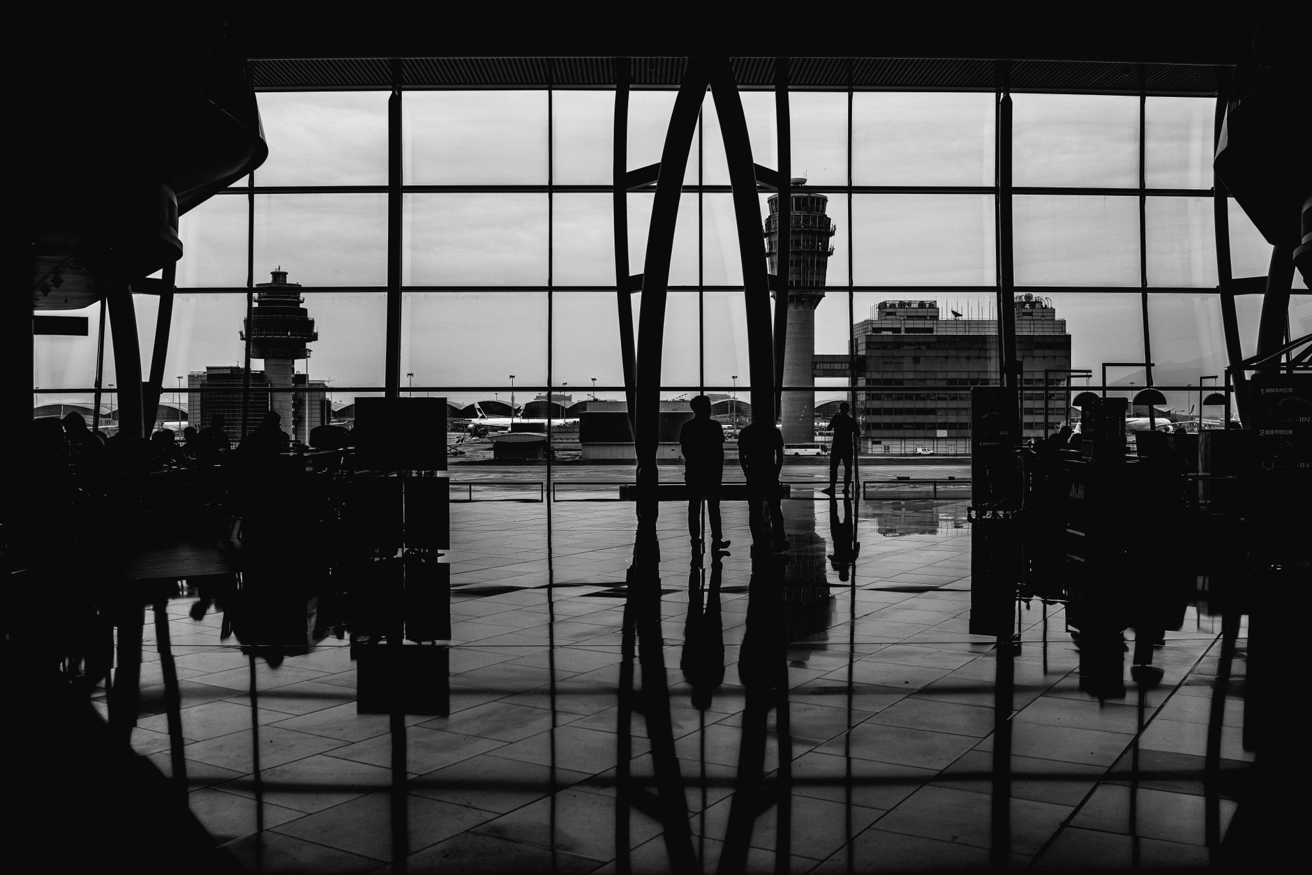 Pet Travel on American Airlines: 2026 Rules, Fees and Carrier Sizes