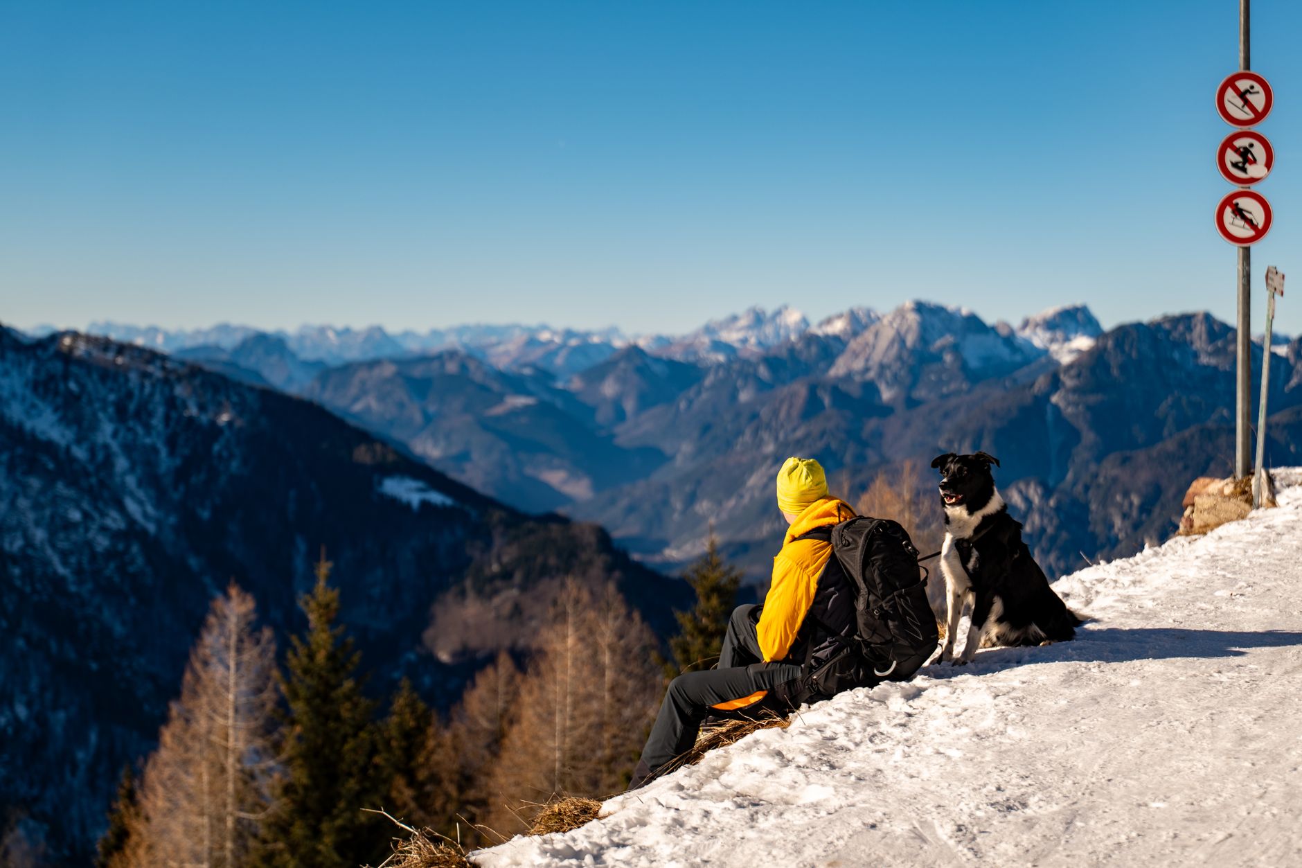 traveler with dog at border checkpoint inspection