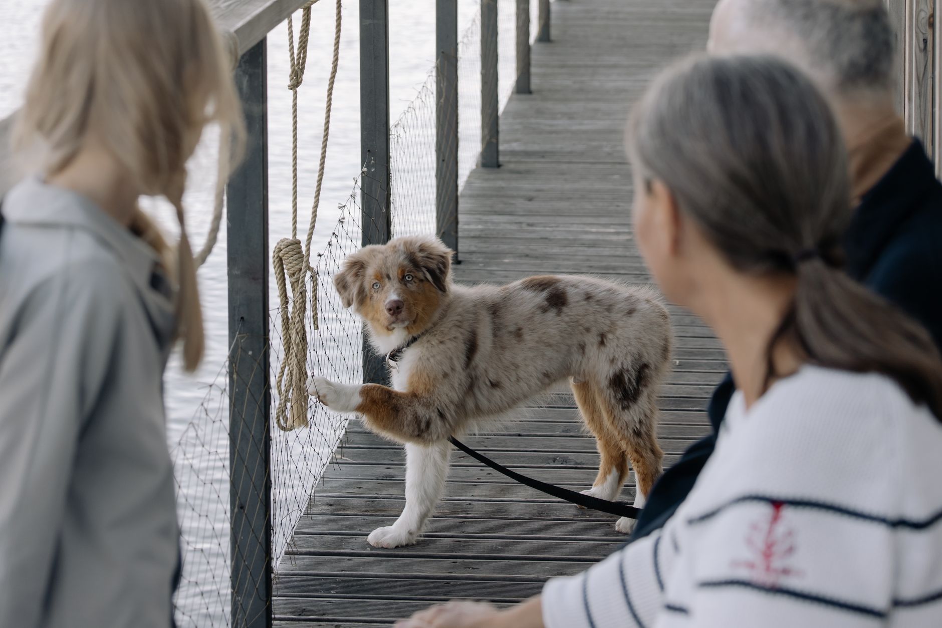 family walking leashed dog through ferry terminal boarding queue