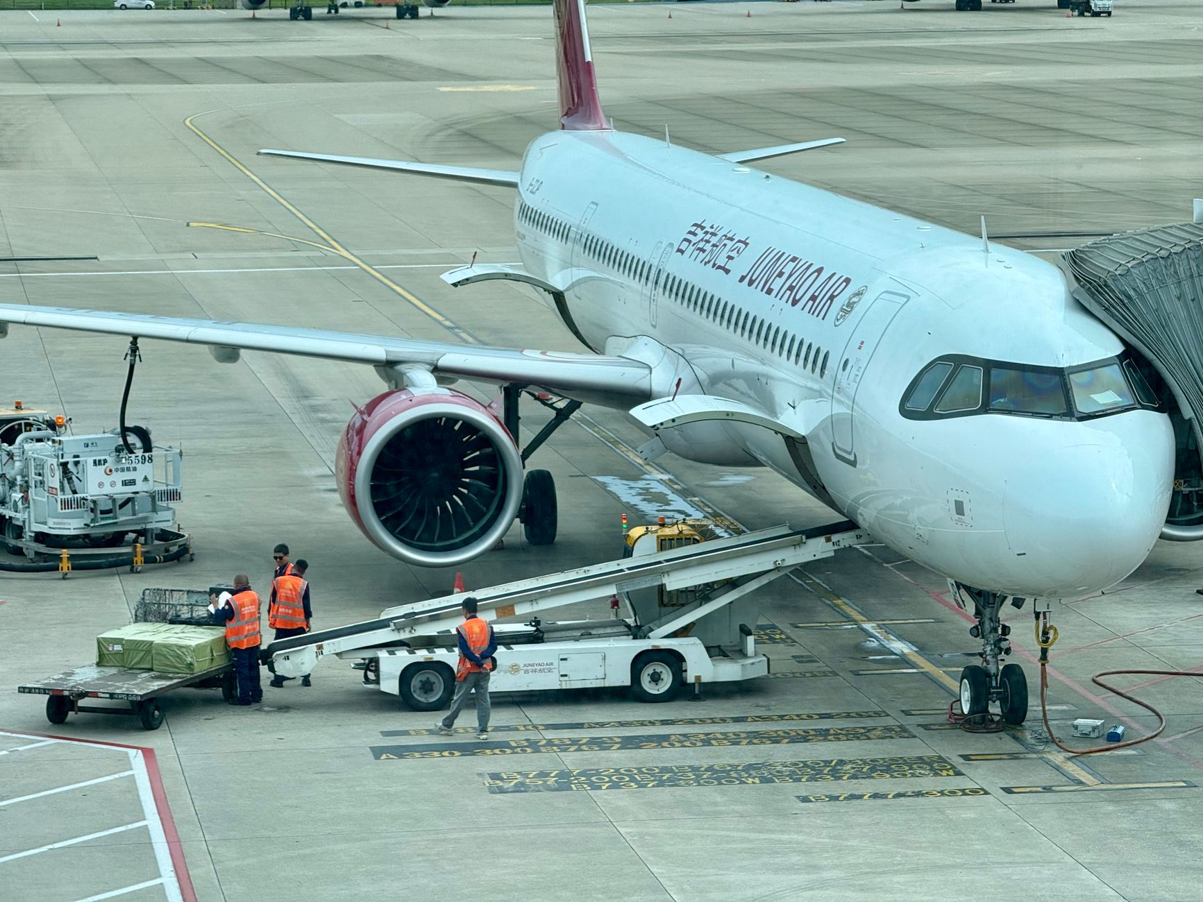airline cargo staff loading pet carrier crate onto airplane
