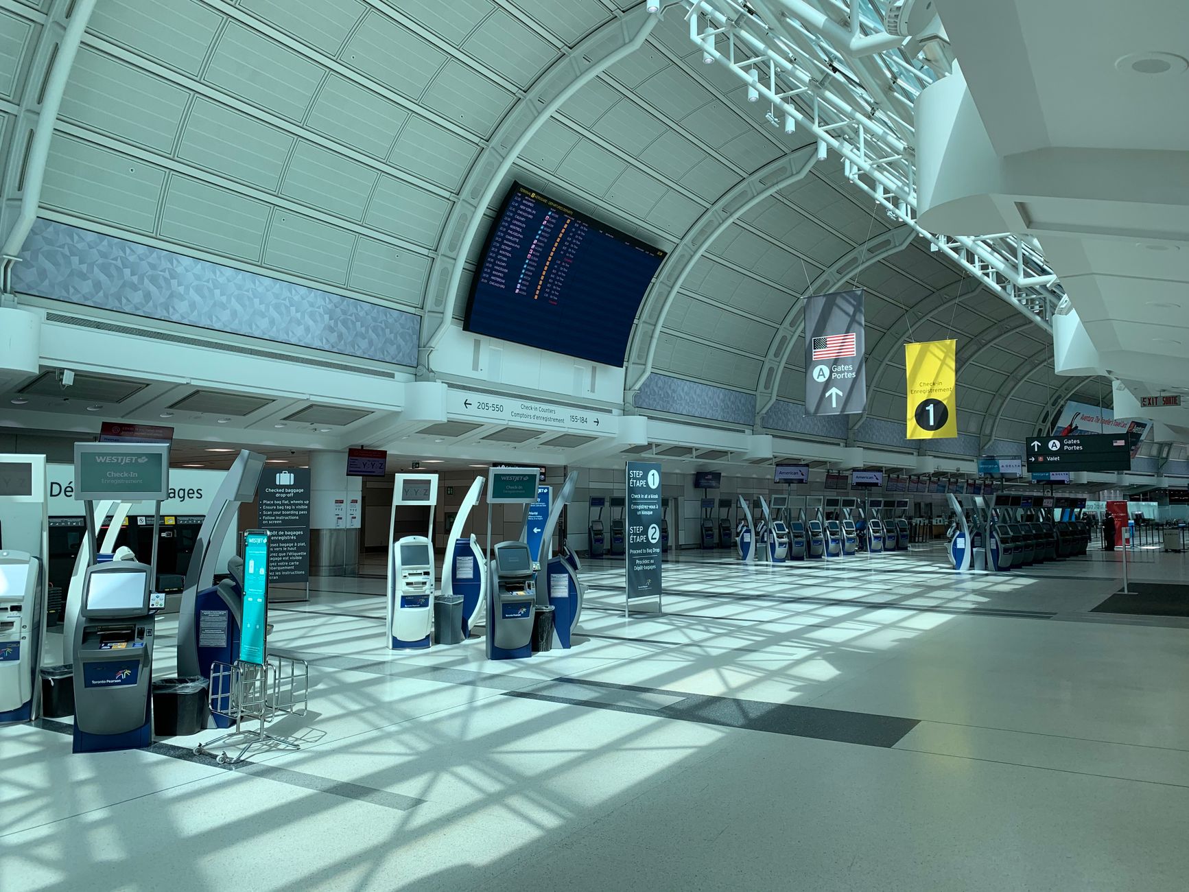 cat hard-sided carrier international airport departure hall