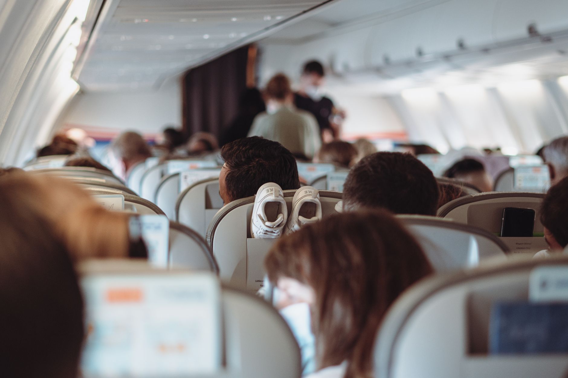 Southwest Airlines Animal Policy: Fees, Carriers, and Service Dogs (2026)
