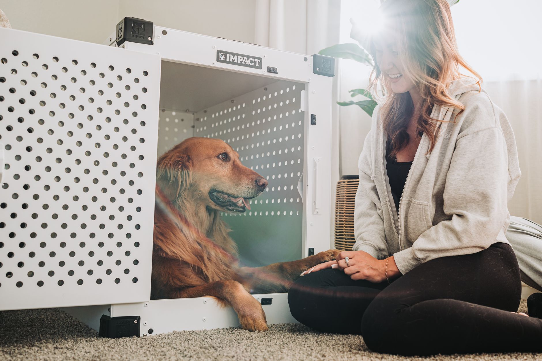 golden retriever inside airline approved travel crate at airport terminal