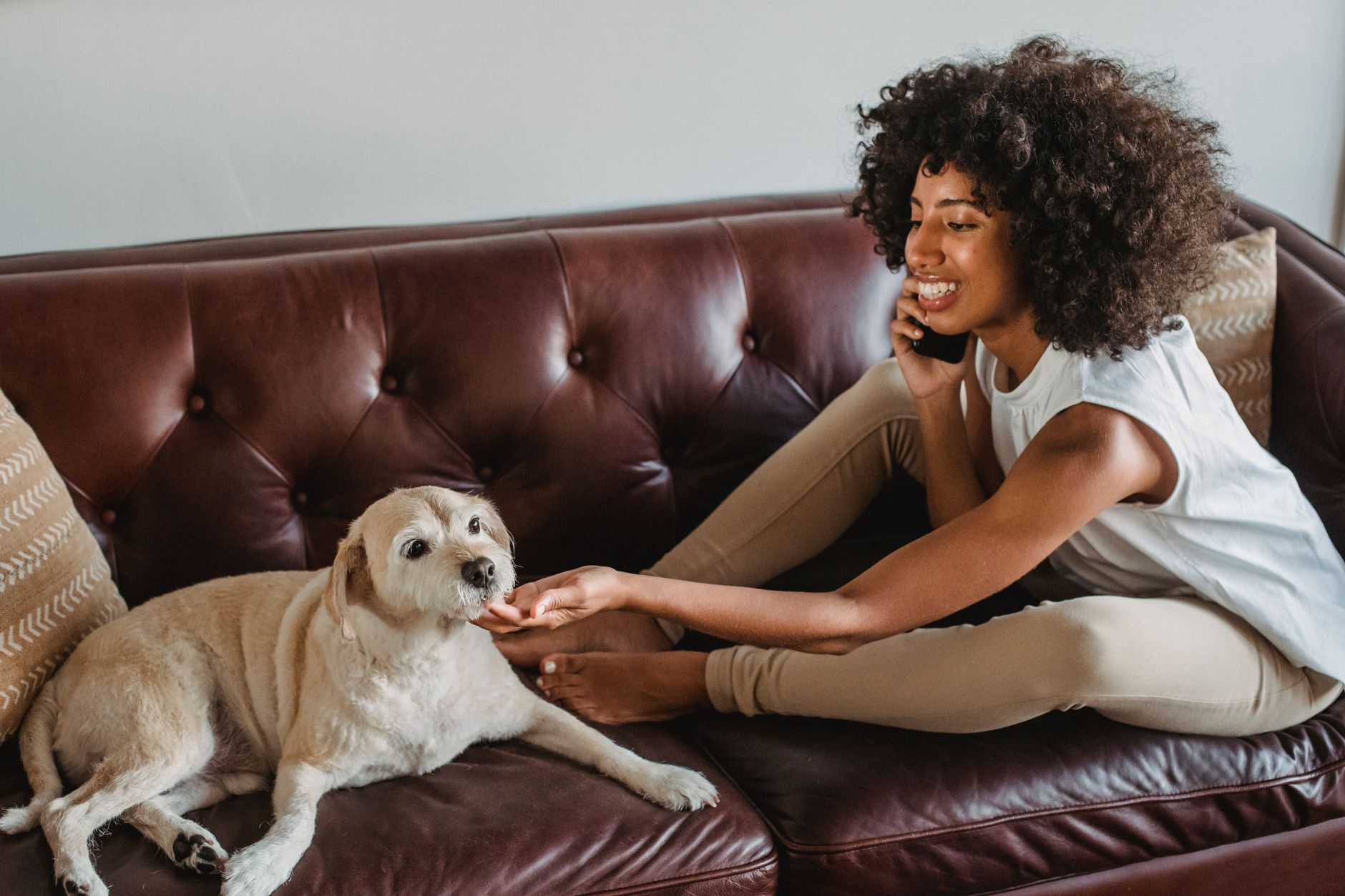 woman calling on smartphone beside empty pet travel crate in living room