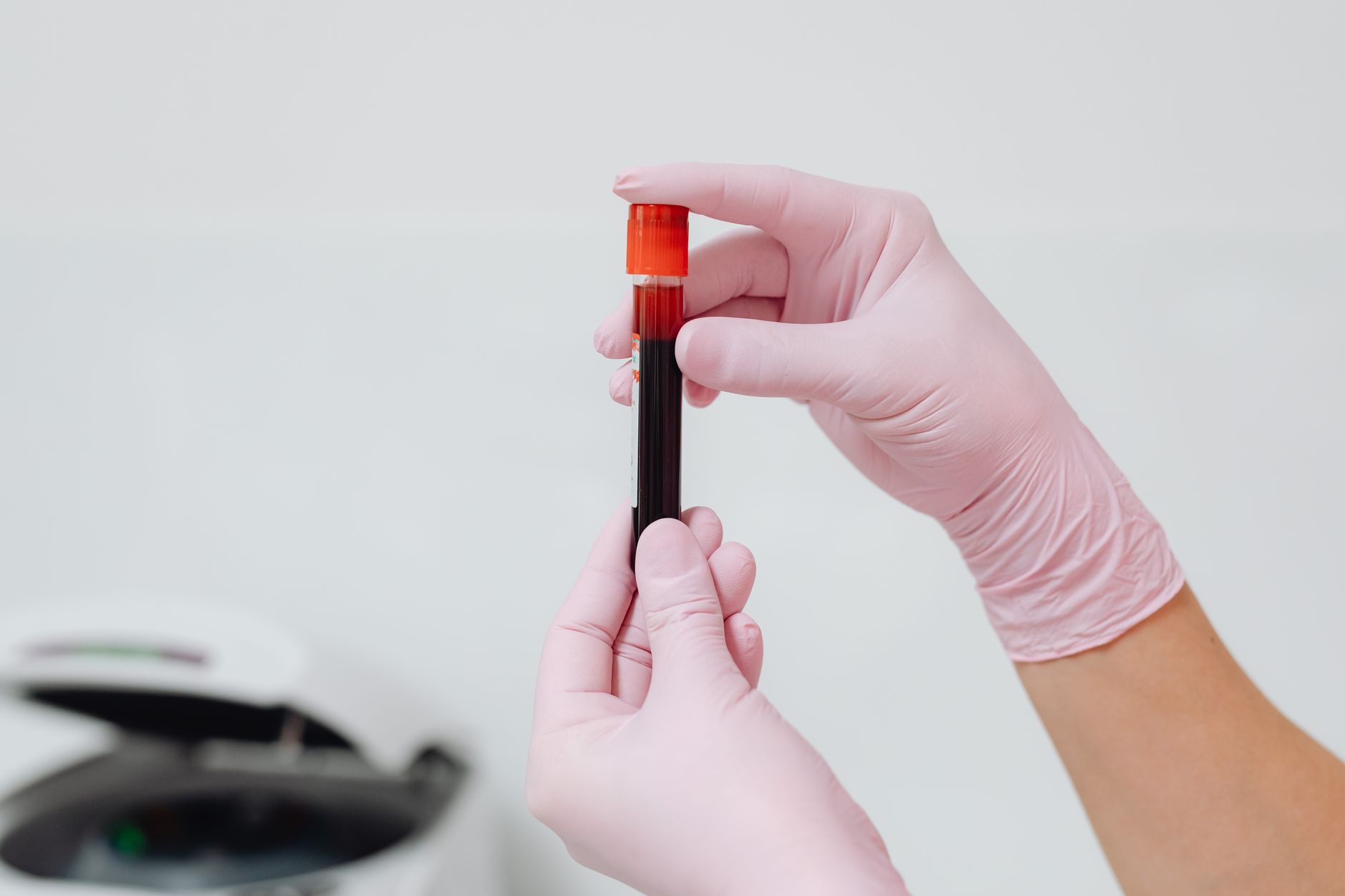veterinarian drawing dog blood sample clinic serology tube