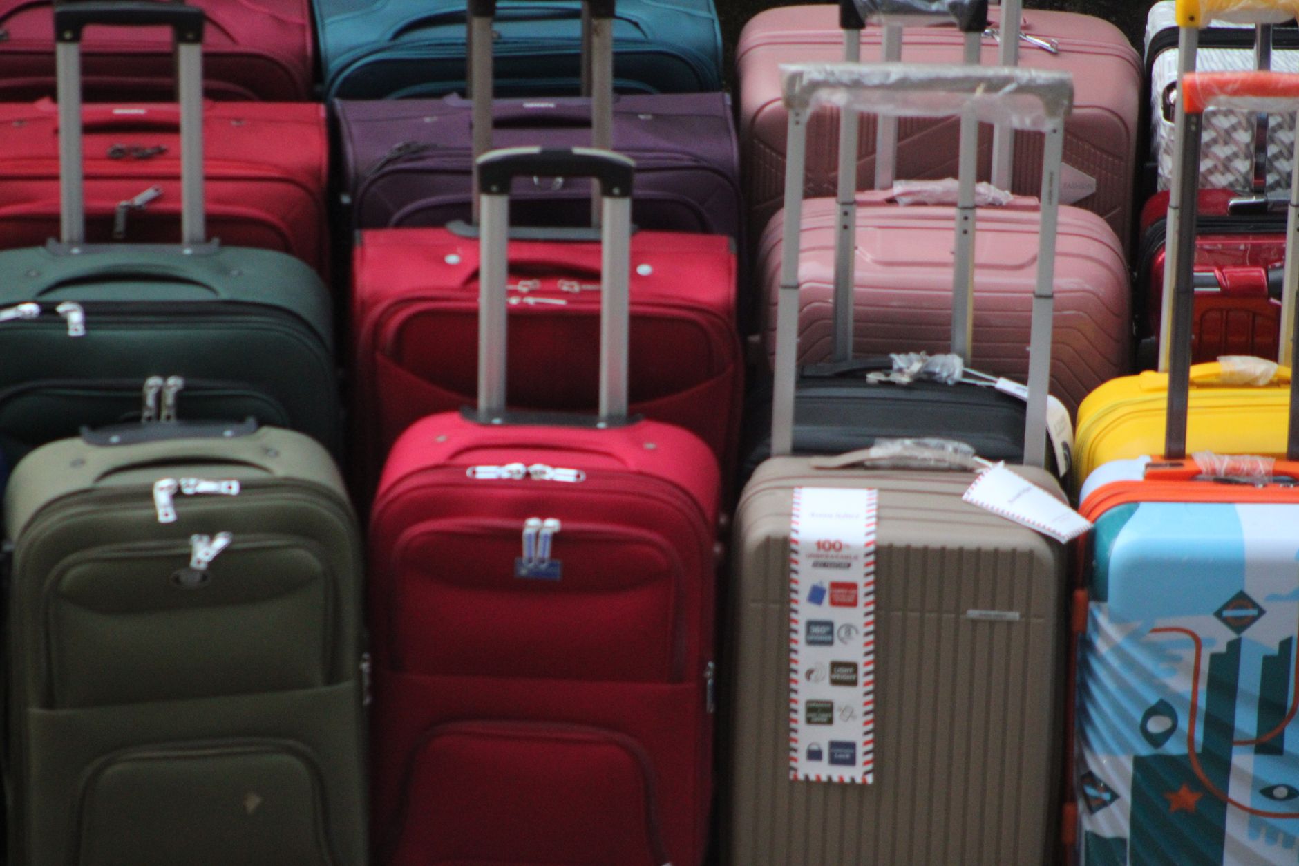 dog carrier bag placed on airport check-in counter scale