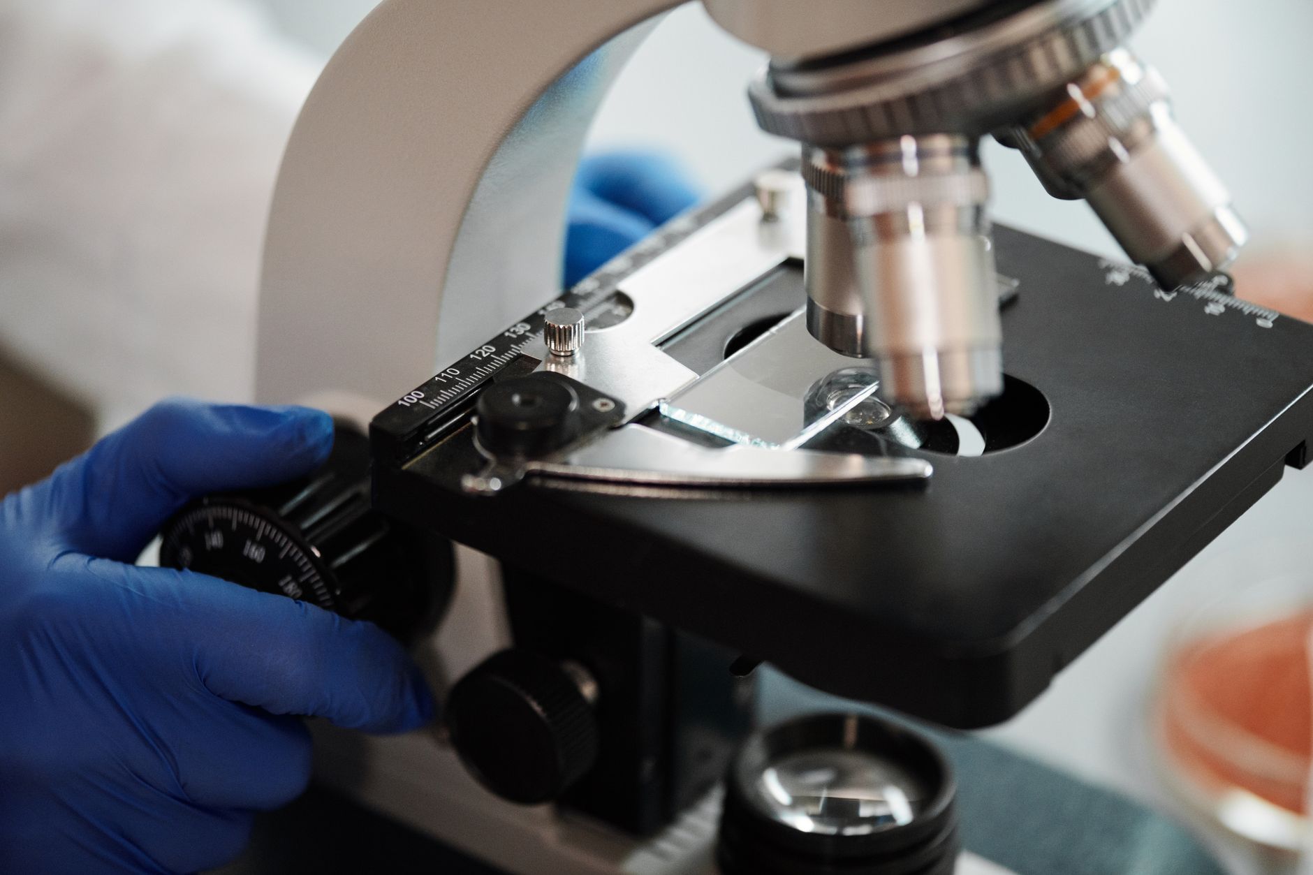 veterinary pathologist fluorescence microscope brain smear lab