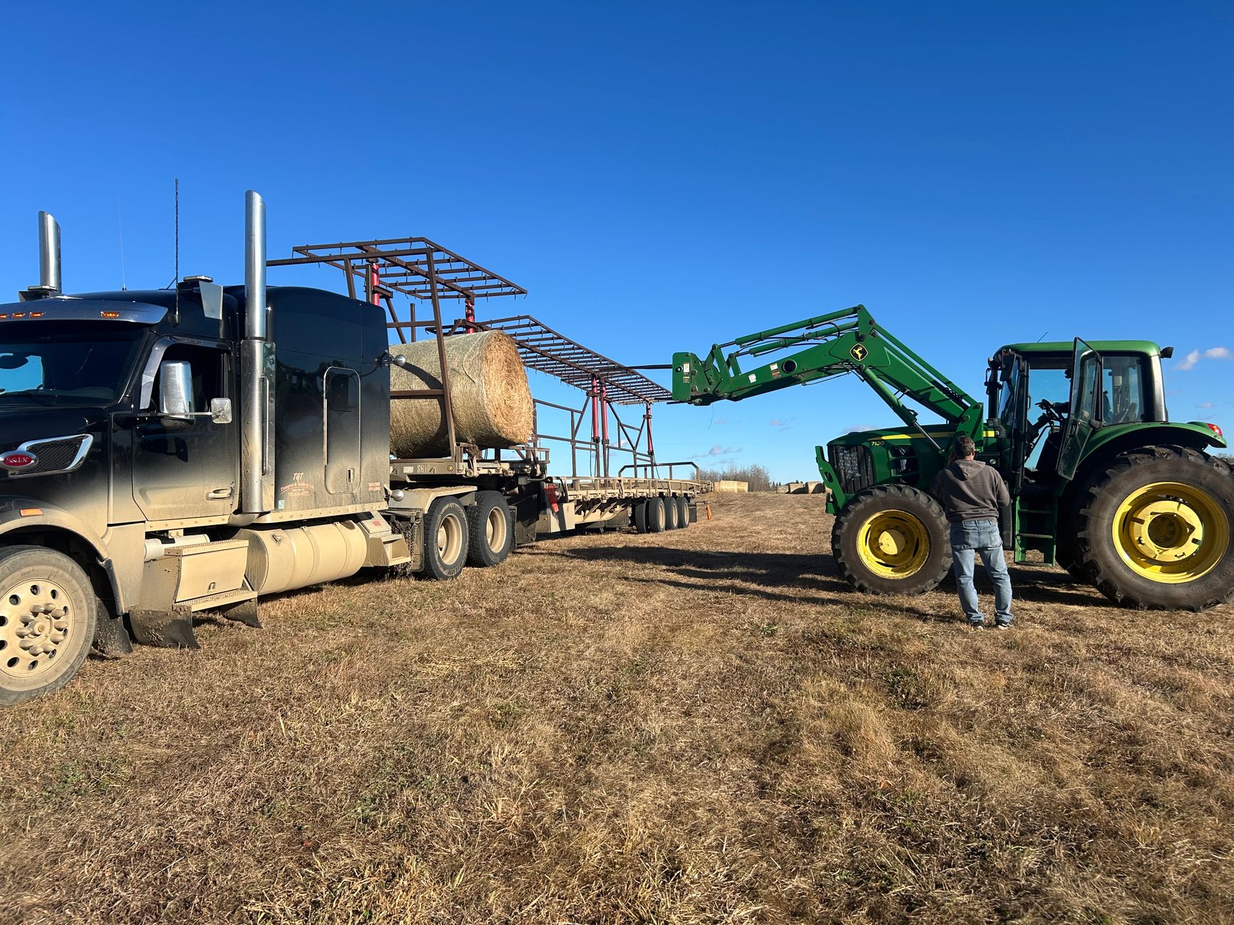 border livestock truck cattle loading ramp dawn