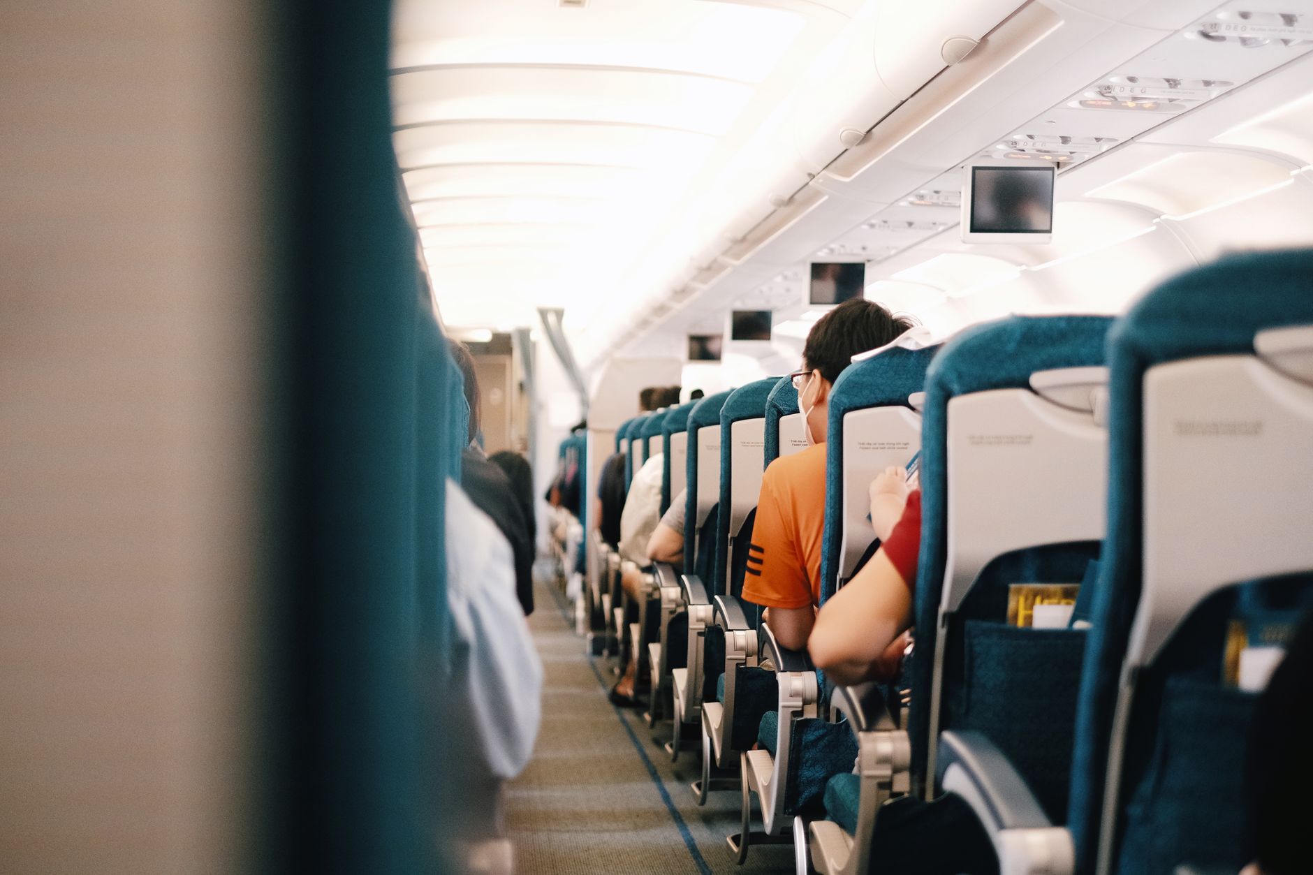 Small Cat Carrier: The Complete Size Guide and Airline Rules for 2026