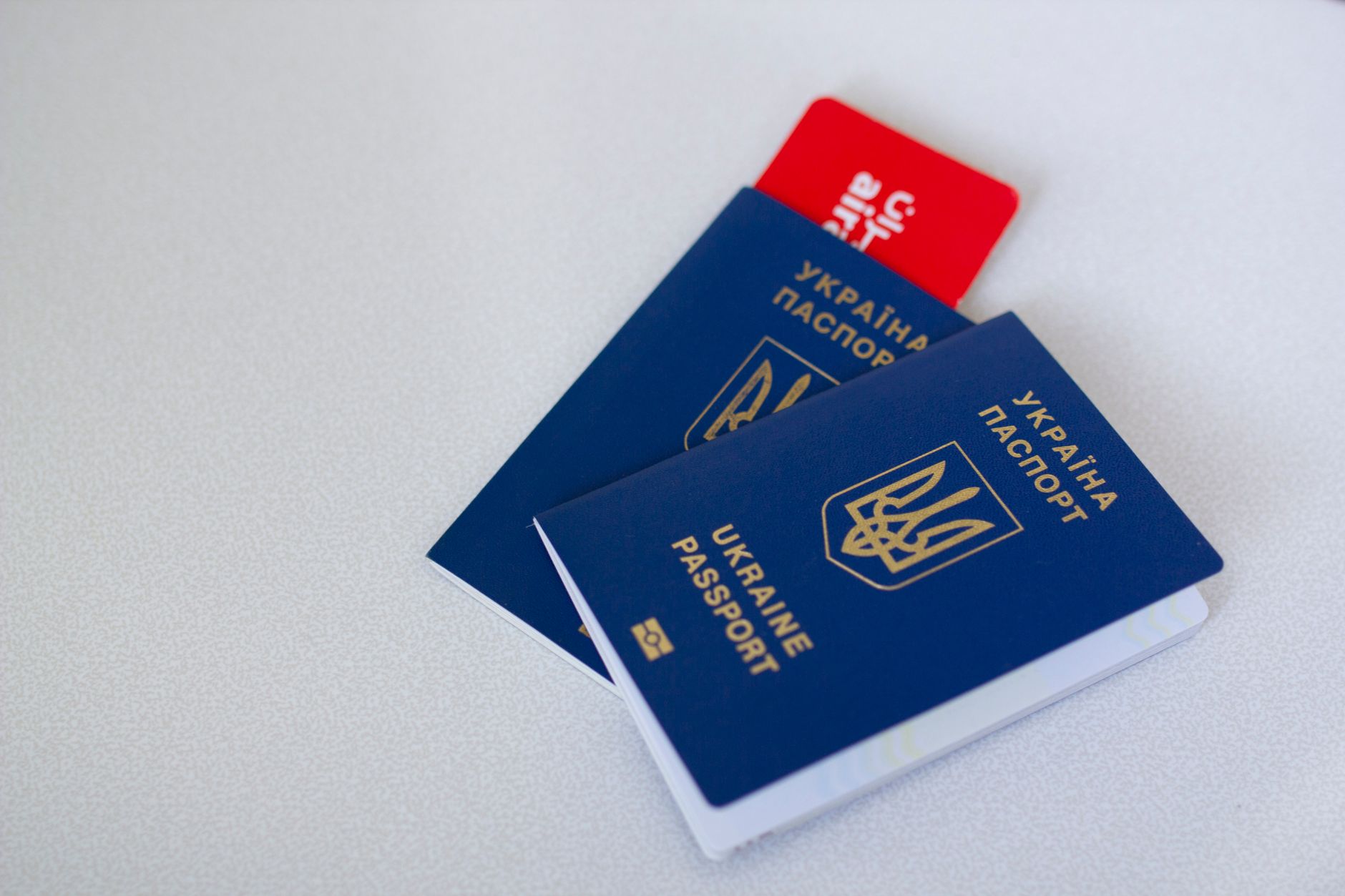 blue EU pet passport booklet open on veterinary clinic desk