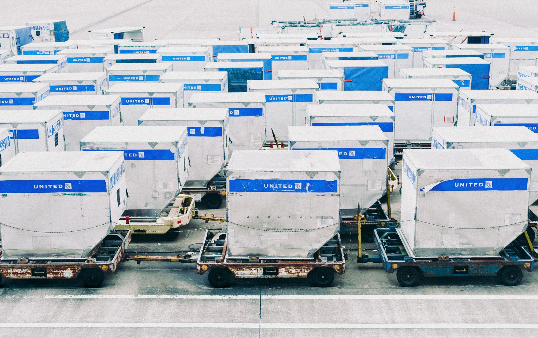 International Pet Movers: How Professional Pet Relocation Works