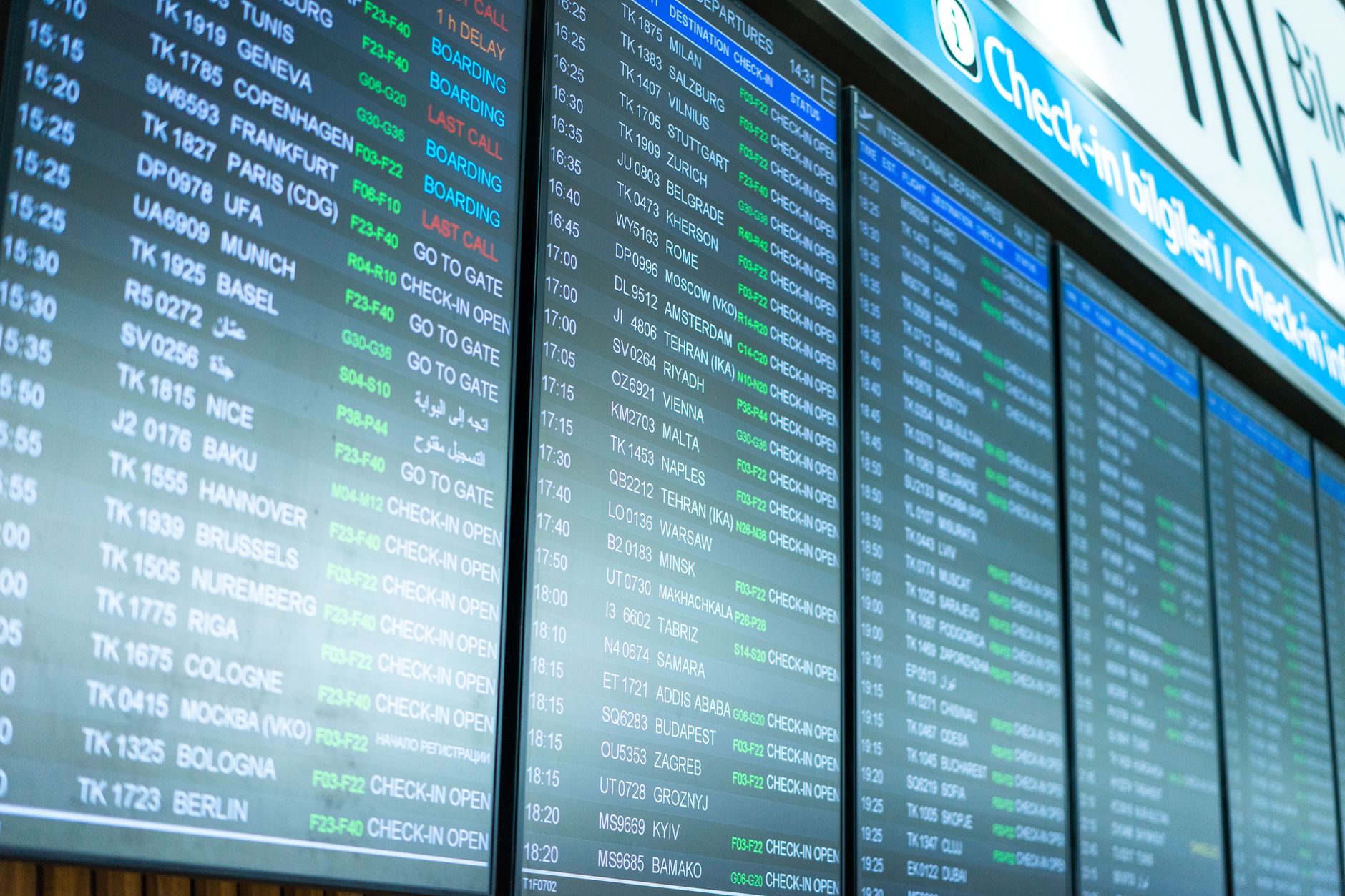 person placing cat carrier on airport airline check-in scale