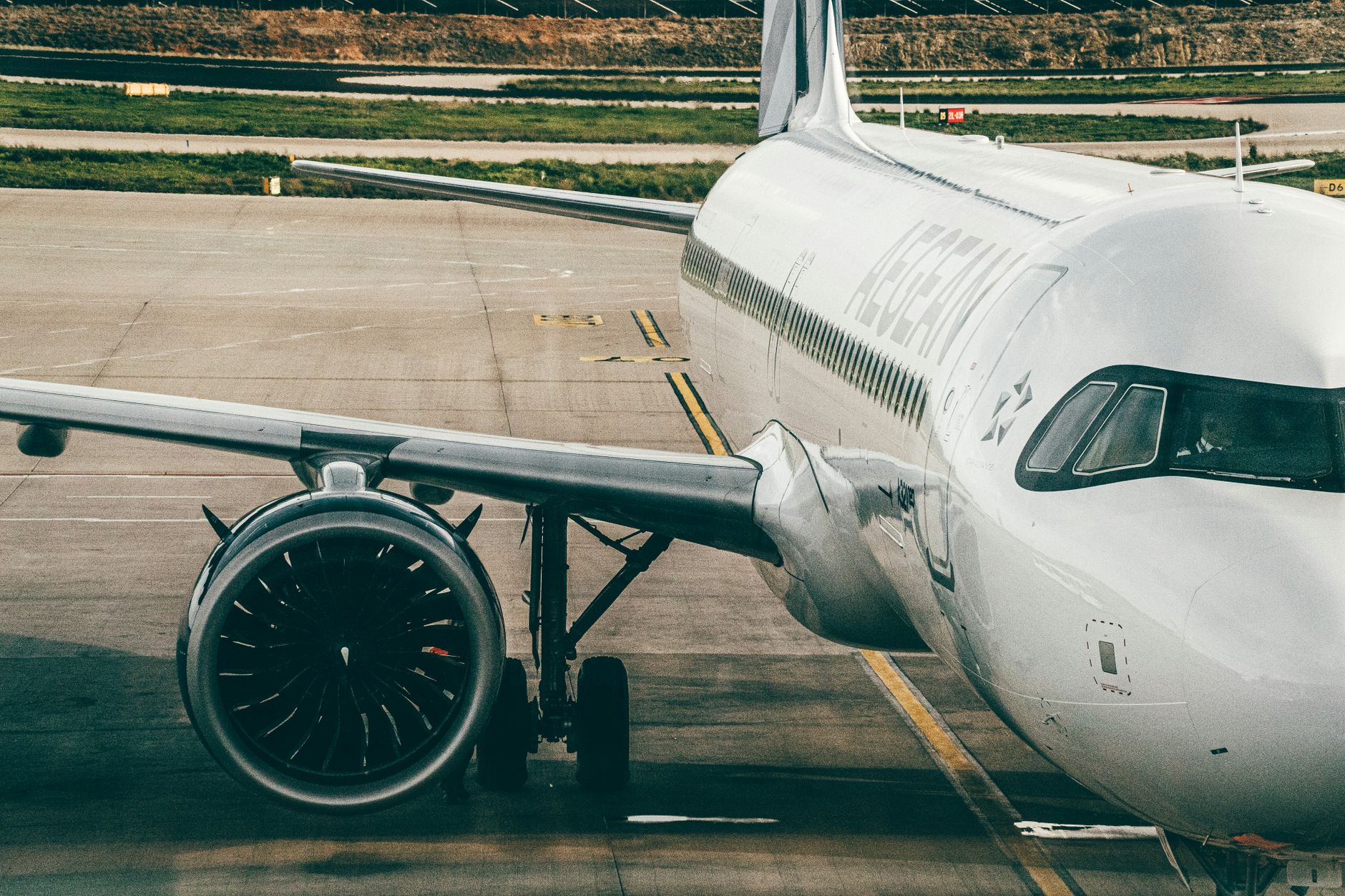 airline pet carrier passenger airport terminal