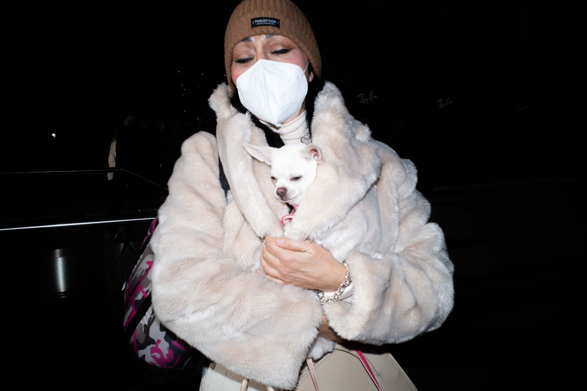 Airport Approved Dog Carrier: What Airlines Actually Require in 2026