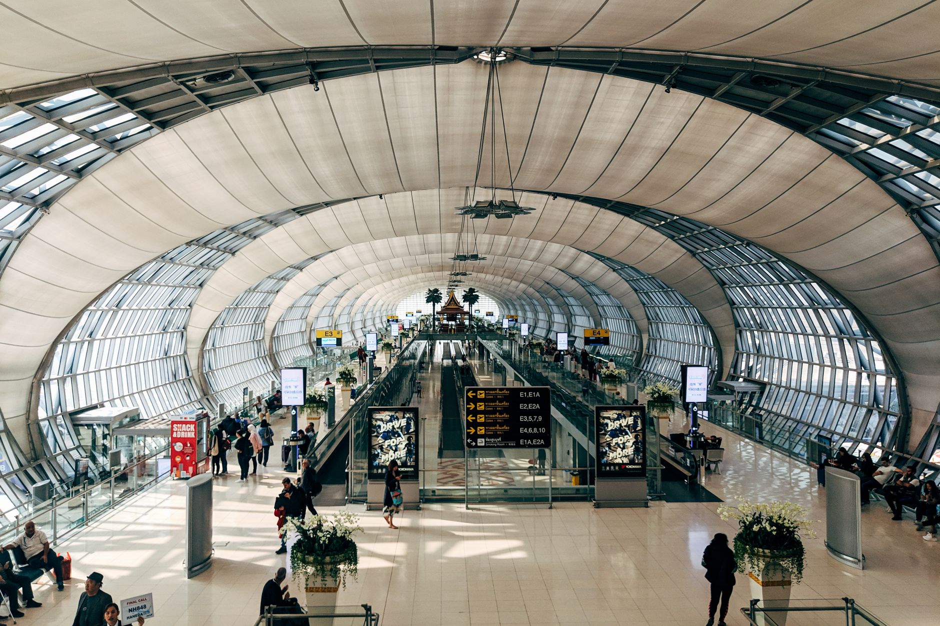 How Much Is It to Fly a Cat? 2026 Airline Fees Explained