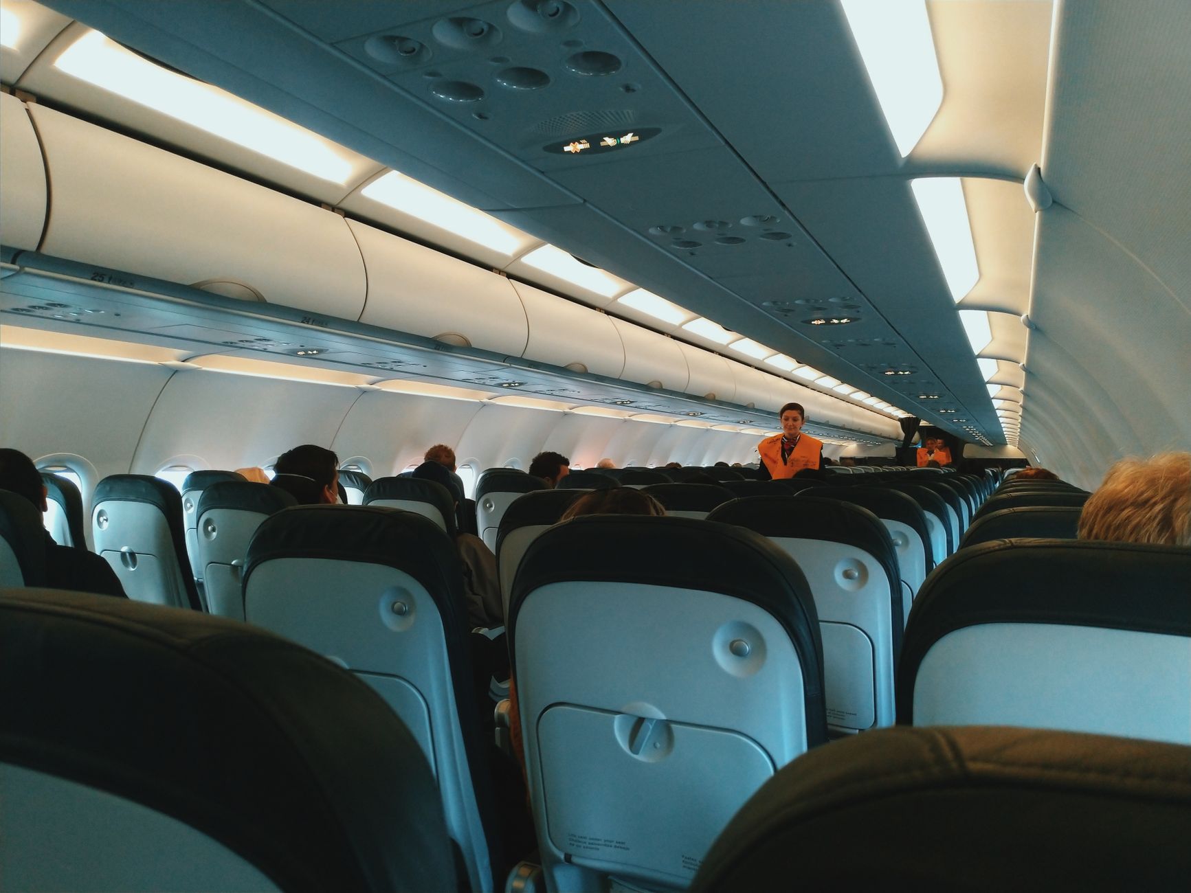 Delta Flying With Pets: 2026 Rules, Fees, and Documents
